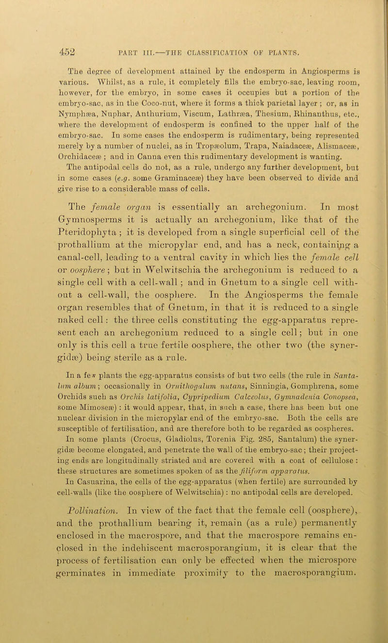 The degree of development attained by the endosperm in Angiosperms is various. Whilst, as a rule, it completely fills the embryo-sac, leaving room, however, for the embryo, in some cases it occupies but a portion of the embryo-sac, as in the Coco-nut, where it forms a thick parietal layer ; or, as in Nymphaea, Nuphar, Anthurium, Yiscum, Lathraea, Thesium, Rhinanthus, etc., where the development of endosperm is confined to the upper half of the embryo-sac. In some cases the endosperm is rudimentary, being represented merely by a number of nuclei, as in Tropaeolum, Trapa, Naiadaceae, Alismaceae, Orchidaceae ; and in Canna even this rudimentary development is wanting. The antipodal cells do not, as a rule, undergo any further development, but in some cases (e.g. some Graminaceae) they have been observed to divide and give rise to a considerable mass of cells. The female organ is essentially an arcliegonium. In most Gymnosperms it is actually an arcliegonium, like that of the Pteridophyta ; it is developed from a single superficial cell of the prothallium at the micropylar end, and has a neck, containing a canal-cell, leading to a ventral cavity in which lies the female cell or oosphere ; but in Welwitschia the arcliegonium is reduced to a single cell with a cell-wall ; and in Gnetum to a single cell with- out a cell-wall, the oosphere. In the Angiosperms the female organ resembles that of Gnetum, in that it is reduced to a single naked cell : the three cells constituting the egg-apparatus repre- sent each an arcliegonium reduced to a single cell; but in one only is this cell a true fertile oosphere, the other two (the syner- gidre) being sterile as a rule. In a fe.v plants the egg-apparatus consists of but two cells (the rale in Santa- linn album; occasionally in Ornithogulum nutans, Sinningia, Gomphrena, some Orchids such as Orchis latifolia, Cypripedium Calceolus, Gymnadenia Conopsea, some Mimosere) : it would appear, that, in such a case, there has been but one nuclear division in the micropylar end of the embryo-sac. Both the cells are susceptible of fertilisation, and are therefore both to be regarded as oospheres. In some plants (Crocus, Gladiolus, Torenia Fig. 285, Santalum) the syner- gidffi become elongated, and penetrate the wall of the embryo-sac; their project- ing ends are longitudinally striated and are covered with a coat of cellulose : these structures are sometimes spoken of as the filiform apparatus. In Casuarina, the cells of the egg-apparatus (when fertile) are surrounded by cell-walls (like the oosphere of Welwitschia): no antipodal cells are developed. Pollination. In view of the fact that the female cell (oosphere), and the prothallium bearing it, remain (as a rule) permanently enclosed in the macrospore, and that the macrospore remains en- closed in the indehiscent macrosporangium, it is clear that the process of fertilisation can only be effected when the microspore germinates in immediate proximity to the macrosporangium.