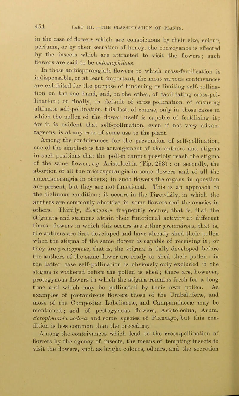 in the case of flowers which are conspicuous by their size, colour, perfume, or by their secretion of honey, the conveyance is effected by the insects which are attracted to visit the flowers; such flowers are said to be entomophilous. In those ambisporangiate flowers to which cross-fertilisation is indispensable, or at least important, the most various contrivances are exhibited for the purpose of hindering or limiting self-pollina- tion on the one hand, and, on the other, of facilitating cross-pol- lination ; or finally, in default of cross-pollination, of ensuring ultimate self-pollination, this last, of course, only in those cases in which the pollen of the flower itself is capable of fertilising it; for it is evident that self-pollination, even if not very advan- tageous, is at any rate of some use to the plant. Among the contrivances for the prevention of self-pollination, one of the simplest is the arrangement of the anthers and stigma in such positions that the pollen cannot possibly reach the stigma of the same flower, e.g. Aristolochia (Fig. 293) : or secondly, the abortion of all the microsporangia in some flowers and of all the macrosporangia in others; in such flowers the organs in question are present, but they are not functional. This is an approach to the diclinous condition; it occurs in the Tiger-Lily, in which the anthers are commonly abortive in some flowers and the ovaries in others. Thirdly, dichogamy frequently occurs, that is, that the stigmata and stamens attain their functional activity at different times : flowers in which this occurs are either protandrous, that is, the anthers are first developed and have already shed their pollen when the stigma of the same flower is capable of receiving it; or they are protogynous, that is, the stigma is fully developed before the anthers of the same flower are ready to shed their pollen : in the latter case self-pollination is obviously only excluded if the stigma is withered before the pollen is shed ; there are, however, protogynous flowers in which the stigma remains fresh for a long time and which may be pollinated by their own pollen. As examples of protandrous flowers, those of the Umbelliferas, and most of the Compositac, Lobeliaceas, and Campanulacese may be mentioned; and of protogynous flowers, Aristolochia, Arum, Scrophularia noduta, and some species of Plantago, but this con- dition is less common than the preceding. Among the contrivances which lead to the cross-pollination of flowers by the agency of insects, the means of tempting insects to visit the flowers, such as bright colours, odours, and the secretion