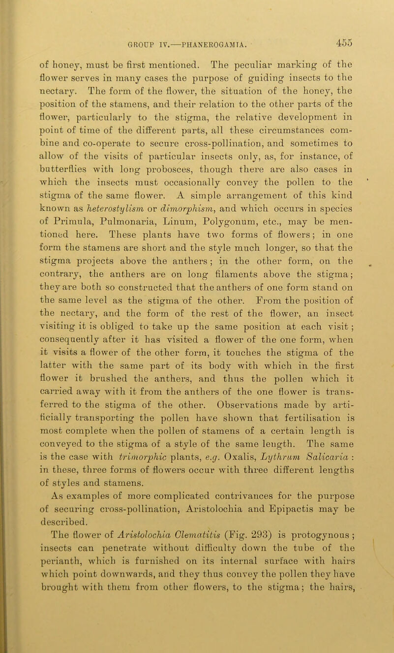 of honey, must be first mentioned. The peculiar marking of the flower serves in many cases the purpose of guiding insects to the nectary. The form of the flower, the situation of the honey, the position of the stamens, and their relation to the other parts of the flower, particularly to the stigma, the relative development in point of time of the different parts, all these circumstances com- bine and co-operate to secure cross-pollination, and sometimes to allow of the visits of particular insects only, as, for instance, of butterflies with long probosces, though there are also cases in which the insects must occasionally convey the pollen to the stigma of the same flower. A simple arrangement of this kind known as heterostylism or dimorphism, and which occurs in species of Primula, Pulmonaria, Linum, Polygonum, etc., may be men- tioned here. These plants have two forms of flowers; in one form the stamens are short and the style much longer, so that the stigma projects above the anthers; in the other form, on the contrary, the anthers are on long filaments above the stigma; they ai'e both so constructed that the anthers of one form stand on the same level as the stigma of the other. From the position of the nectary, and the form of the rest of the flower, an insect visiting it is obliged to take up the same position at each visit; consequently after it has visited a flower of the one form, when it visits a flower of the other form, it touches the stigma of the latter with the same part of its body with which in the first flower it brushed the anthers, and thus the pollen which it carried away with it from the anthers of the one flower is trans- ferred to the stigma of the other. Observations made by arti- ficially transporting the pollen have shown that fertilisation is most complete when the pollen of stamens of a certain length is conveyed to the stigma of a style of the same length. The same is the case with trimorphic plants, e.g. Oxalis, Lythrain Salicaria : in these, three forms of flowei\s occur with three different lengths of styles and stamens. As examples of more complicated contrivances for the purpose of securing cross-pollination, Aristolochia and Epipactis may be described. The flower of Aristolochia Clematitis (Fig- 293) is pi’otogynous ; insects can penetrate without difficulty down the tube of the perianth, which is furnished on its internal surface with hairs which point downwards, and they thus convey the pollen they have brought with them from other flowers, to the stigma; the hairs,