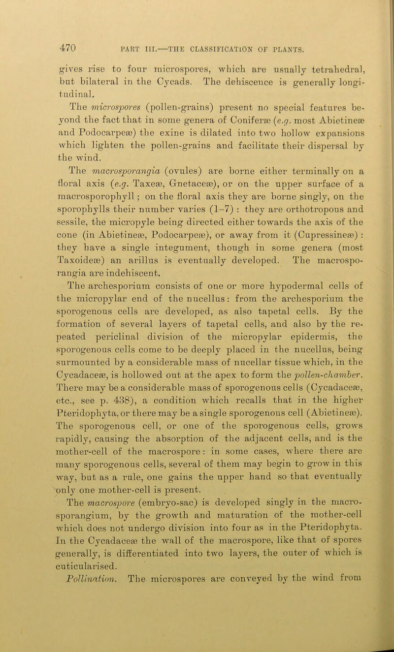 gives rise to four microspores, which are usually tetrahedral, but bilateral in the Cycads. The dehiscence is generally longi- tudinal. The microspores (pollen-grains) present no special features be- yond the fact that in some genera of Conifer® (e.g. most Abietinese and Podocarpe®) the exine is dilated into two hollow expansions which lighten the pollen-grains and facilitate their dispersal by the wind. The macro sporangia (ovules) are borne either terminally on a floral axis {e.g. Taxese, Gnetace®), or on the upper surface of a macrosporophyll ; on the floral axis they are borne singly, on the sporophylls their number varies (1-7) : they are orthotropous and sessile, the micropyle being directed either towards the axis of the cone (in Abietinese, Podocarpe®), or away from it (Cupressine®) : they have a single integument, though in some genera (most Taxoide®) an arillus is eventually developed. The macrospo- rangia are indehiscent. The archesporium consists of one or more hypodermal cells of the micropylar end of the nucellus: from the archesporium the sporogenous cells are developed, as also tapetal cells. By the formation of several layer’s of tapetal cells, and also by the re- peated periclinal division of the micropylar epidermis, the sporogenous cells come to be deeply placed in the nucellus, being surmounted by a considerable mass of nucellar tissue which, in the Cycadace®, is hollowed out at the apex to form the pollen-chamber. There may be a considerable mass of sporogenous cells (Cycadace®, etc., see p. 438), a condition which recalls that in the higher Pteridophyta, or there may be a single sporogenous cell (Abietine®). The sporogenous cell, or one of the sporogenous cells, grows rapidly, causing the absorption of the adjacent cells, and is the mother-cell of the macrospore : in some cases, where there are many sporogenous cells, several of them may begin to grow in this way, but as a rule, one gains the upper hand so that eventually only one mother-cell is present. The macrospore (embryo-sac) is developed singly in the macro- sporangium, by the growth and maturation of the mother-cell which does not undergo division into four as in the Pteridophyta. In the Cycadacete the wall of the macrospore, like that of spores generally, is differentiated into two layers, the outer of which is cuticularised. Pollination. The microspores are conveyed by the wind from
