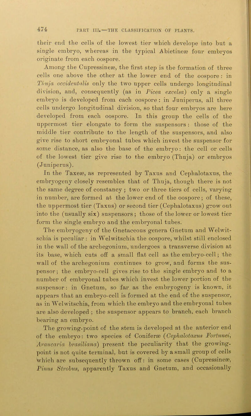 their end the cells of the lowest tier which develope into but a single embryo, whereas in the typical Abietirieoe four embryos originate from each oospore. Among the Cupressinere, the first step is the formation of three cells one above the other at the lower end of the oospore : in Thuja occidentalis only the two upper cells undergo longitudinal division, and, consequently (as in Picea excelsa) only a single embryo is developed from each oospore : in Juniperns, all three cells undergo longitudinal division, so that four embryos are here developed from each oospore. In this group the cells of the uppermost tier elongate to form the suspensors : those of the middle tier contribute to the length of the suspensors, and also give rise to short embryonal tubes which invest the suspensor for some distance, as also the base of the embryo: the cell or cells of the lowest tier give rise to the embryo (Thuja) or embryos (Juniperus). In the Taxeie, as represented by Taxus and Cephalotaxus, the embryogeny closely resembles that of Thuja, though there is not the same degree of constancy ; two or three tiers of cells, varying in number, are formed at the lower end of the oospore; of these, the uppermost tier (Taxus) or second tier (Cephalotaxus) grow out into the (usually six) suspensors ; those of the lower or lowest tier form the single embryo and the embryonal tubes. The embryogeny of the Gnetaceous genera Gnetum and Welwit- schia is peculiar : in Welwitschia the oospore, whilst still enclosed in the wall of the archegonium, undergoes a transverse division at its base, which cuts off a small flat cell as the embryo-cell; the wall of the archegonium continues to grow, and forms the sus- pensor ; the embryo-cell gives rise to the single embryo and to a number of embryonal tubes which invest the lower portion of the suspensor: in Gnetum, so far as the embi’yogeny is known, it appears that an embryo-cell is formed at the end of the suspensor, as in Welwitschia, from which the embryo and the embryonal tubes are also developed ; the suspensor appears to branch, each branch bearing an embryo. The growing-point of the stem is developed at the anterior end of the embryo: two species of Coniferie (Cephalotaxus Fortunei, Araucaria brasiliana) present the peculiarity that the growing- point is not quite terminal, but is covered by a small group of cells which are subsequently thrown off: in some cases (Cupressineoe, Pinus Strobus, apparently Taxus and Gnetum, and occasionally