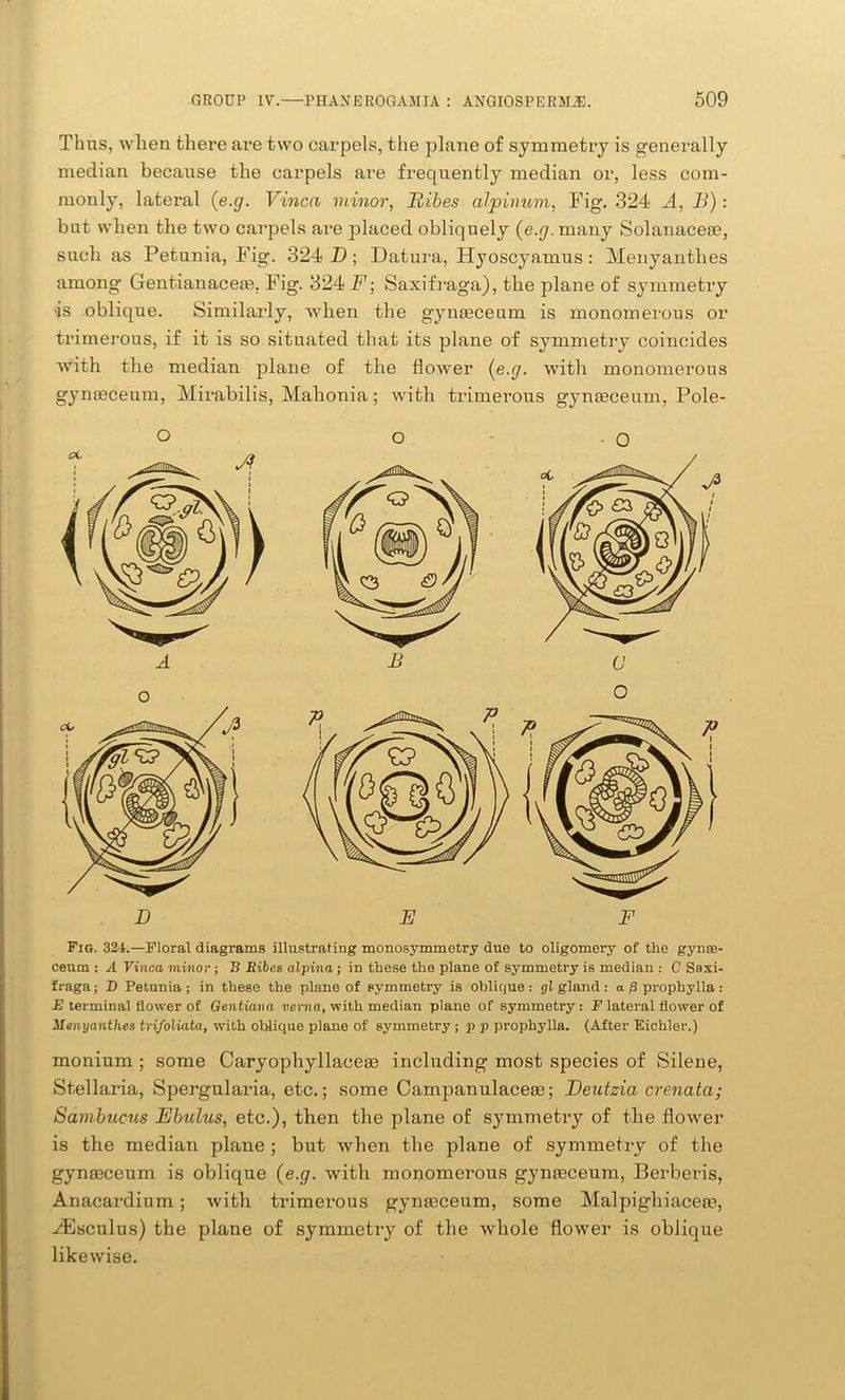 Thus, when there are two carpels, the plane of symmetry is generally median because the carpels are frequently median or, less com- monly, lateral (e.g. Vinca minor, Iiibes alpinum, Fig. 324 A, B): but when the two carpels are placed obliquely (e.y.many Solanacese, such as Petunia, Pig. 324 D ; Datura, Hyoscyamus: Menyanthes among Gentianacem, Fig. 324 F; Saxifraga), the plane of symmetry ■is oblique. Similarly, when the gynfeceum is monomerous or trimerous, if it is so situated that its plane of symmetry coincides with the median plane of the flower (e.g. with monomerous gynasceum, Mirabilis, Malionia; with trimerous gynseceum, Pole- o Fig. 324.—Floral diagrams illustrating monosymmetry due to oligomery of the gynaa- ceum : A Vinca minor; B Eibes alpina ; in these the plane of symmetry is median : C Saxi- fraga; D Petunia; in these the plane of symmetry is oblique: gl gland: a p prophylla : E terminal flower of Gentian a verna, with median plane of symmetry : F lateral flower of Menyanthes trifoliata, with oblique plane of symmetry ; p p prophylla. (After Eichler.) monium ; some Caryophyllacege including most species of Silene, Stellaria, Spergularia, etc.; some Campanulaceas; Beutzia crenata; Sambucus Ebulus, etc.), then the plane of symmetry of the flower is the median plane ; but when the plane of symmetry of the gynaeceum is oblique (e.g. with monomerous gynteceum, Berberis, Anacardium; with trimerous gynseceum, some Malpigliiacese, vEsculus) the plane of symmetry of the whole flower is oblique likewise.