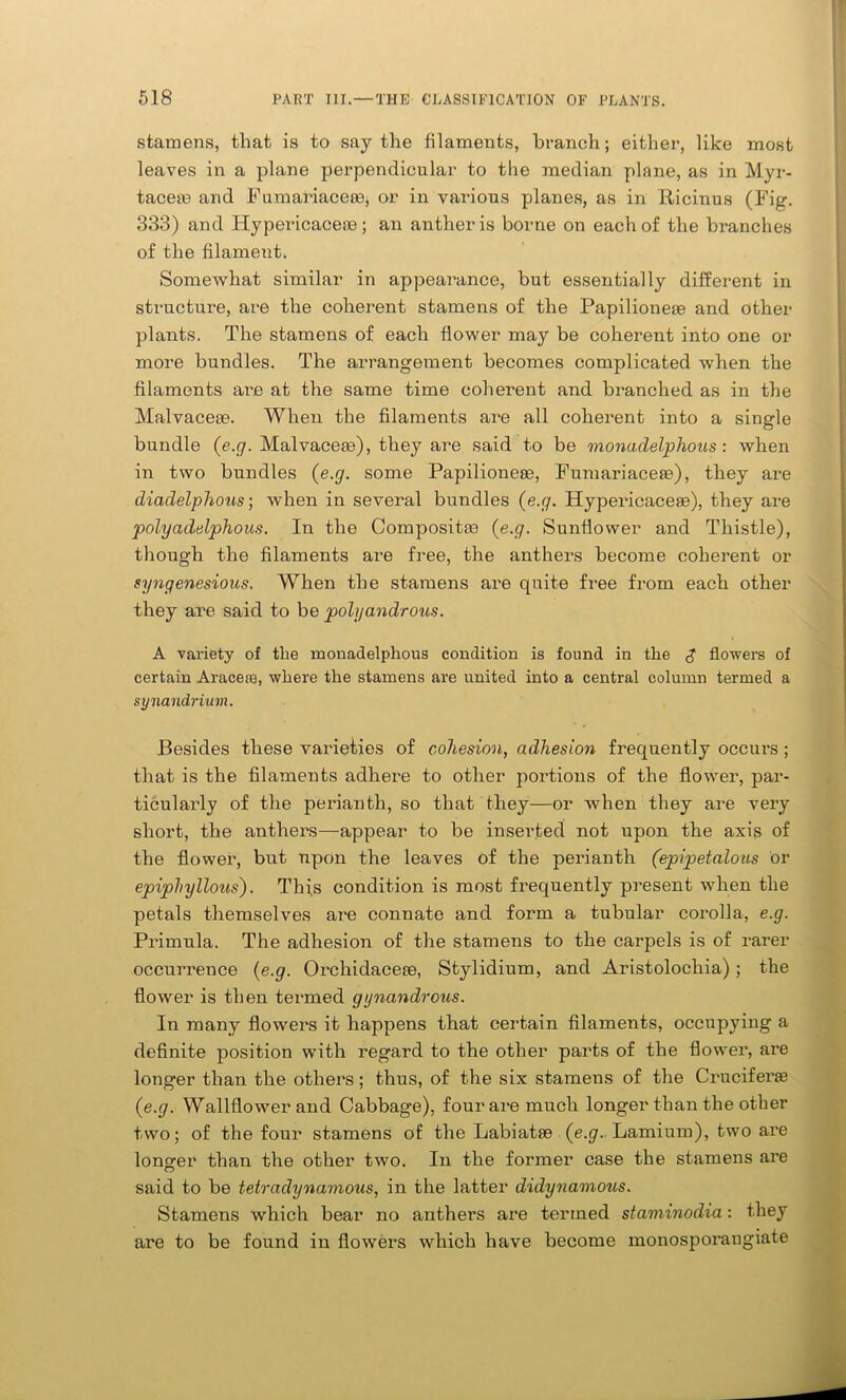 stamens, that is to say the filaments, branch; either, like most leaves in a plane perpendicular to the median plane, as in Myr- tacete and Fumariaceee, or in various planes, as in Ricinus (Fig. 333) and HypericaceiB; an anther is borne on each of the branches of the filament. Somewhat similar in appearance, but essentially different in structure, are the coherent stamens of the Papilionete and other plants. The stamens of each flower may be coherent into one or more bundles. The arrangement becomes complicated when the filaments are at the same time coherent and branched as in the Malvaceae. When the filaments are all coherent into a single bundle (e.g. Malvaceae), they are said to be monaclelphous: when in two bundles (e.g. some Papilioneae, Fumariaceae), they are diadelphous; when in several bundles (e.g. Hypericaceae), they are polyadelphous. In the Compositae (e.g. Sunflower and Thistle), though the filaments are free, the anthers become coherent or syngenesious. When the stamens are quite free from each other they are said to be polyandrous. A variety of the monadelphous condition is found in the $ flowers of certain Araceaa, where the stamens are united into a central column termed a synandrium. Besides these varieties of cohesion, adhesion frequently occui’S ; that is the filaments adhere to other portions of the flower, par- ticularly of the perianth, so that they—or when they are very short, the anthers—appear to be inserted not upon the axis of the flower, but upon the leaves of the perianth (epipetalous or epiphyllous). This condition is most frequently present when the petals themselves are connate and form a tubular corolla, e.g. Primula. The adhesion of the stamens to the carpels is of rarer occurrence (e.g. Orchidace®, Stylidium, and Aristolochia) ; the flower is then termed gynandrous. In many flowers it happens that certain filaments, occupying a definite position with regard to the other parts of the flower, are longer than the others; thus, of the six stamens of the Crucifer® (e.g. Wallflower and Cabbage), four are much longer than the other two; of the four stamens of the Labiatte (e.g. Lamium), two are longer than the other two. In the former case the stamens are said to be tetradynamous, in the latter didynamous. Stamens which bear no anthers are termed staminodia: they are to be found in flowers which have become monosporangiate