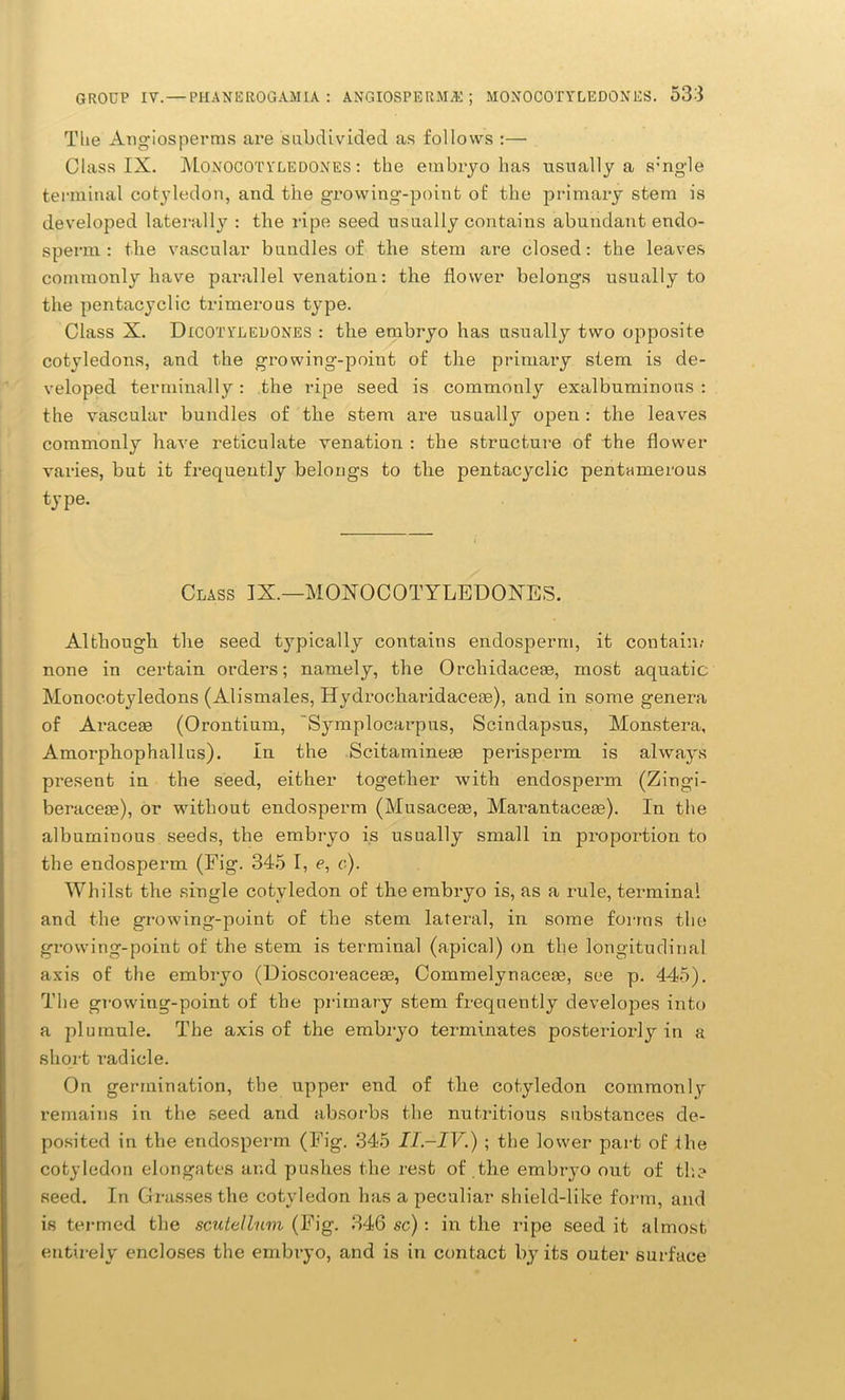 The Angiosperms are subdivided as follows :— Class IX. Monocotyledones : the embryo has usually a single terminal cotyledon, and the growing-point of the primary stem is developed laterally : the l'ipe seed usually contains abundant endo- sperm : the vascular bundles of the stem are closed: the leaves commonly have parallel venation: the flower belongs usually to the pentacyclic trimerous type. Class X. Dicotyledones : the embryo has usually two opposite cotyledons, and the growing-point of the primary stem is de- veloped terminally: the ripe seed is commonly exalbuminous : the vascular bundles of the stem are usually open: the leaves commonly have reticulate venation : the structure of the flower varies, but it frequently belongs to the pentacyclic pentamerous type. Although the seed typically contains endosperm, it contain,- none in certain orders; namely, the Orcliidacese, most aquatic Monocotyledons (Alismales, Hydrocharidaceie), and in some genera of Araceee (Orontium, Symplocarpus, Scindapsus, Monstera, Amorphophallus). In the Scitamineae perisperm is always present in the seed, either together with endosperm (Zingi- beraceas), or without endosperm (Musacese, Marantaceee). In the albuminous seeds, the embryo is usually small in proportion to the endosperm (Fig. 345 I, e, <:). Whilst the single cotyledon of the embryo is, as a rule, terminal and the growing-point of the stem lateral, in some forms the growing-point of the stem is terminal (apical) on the longitudinal axis of the embryo (Dioscoreaceae, Commelynaceee, see p. 445). The growing-point of the primary stem frequently developes into a plumule. The axis of the embryo terminates posteriorly in a short radicle. On germination, the upper end of the cotyledon commonly remains in the seed and absorbs the nutritious substances de- posited in the endosperm (Fig. 345 II.-IV.) ; the lower part of ihe cotyledon elongates and pushes the rest of the embryo out of the seed. In Grasses the cotyledon has a peculiar shield-like form, and is termed the sculellum (Fig. 346 sc): in the ripe seed it almost entirely encloses the embryo, and is in contact by its outer surface Class IX.—MOXOCOTYLEDOXES.