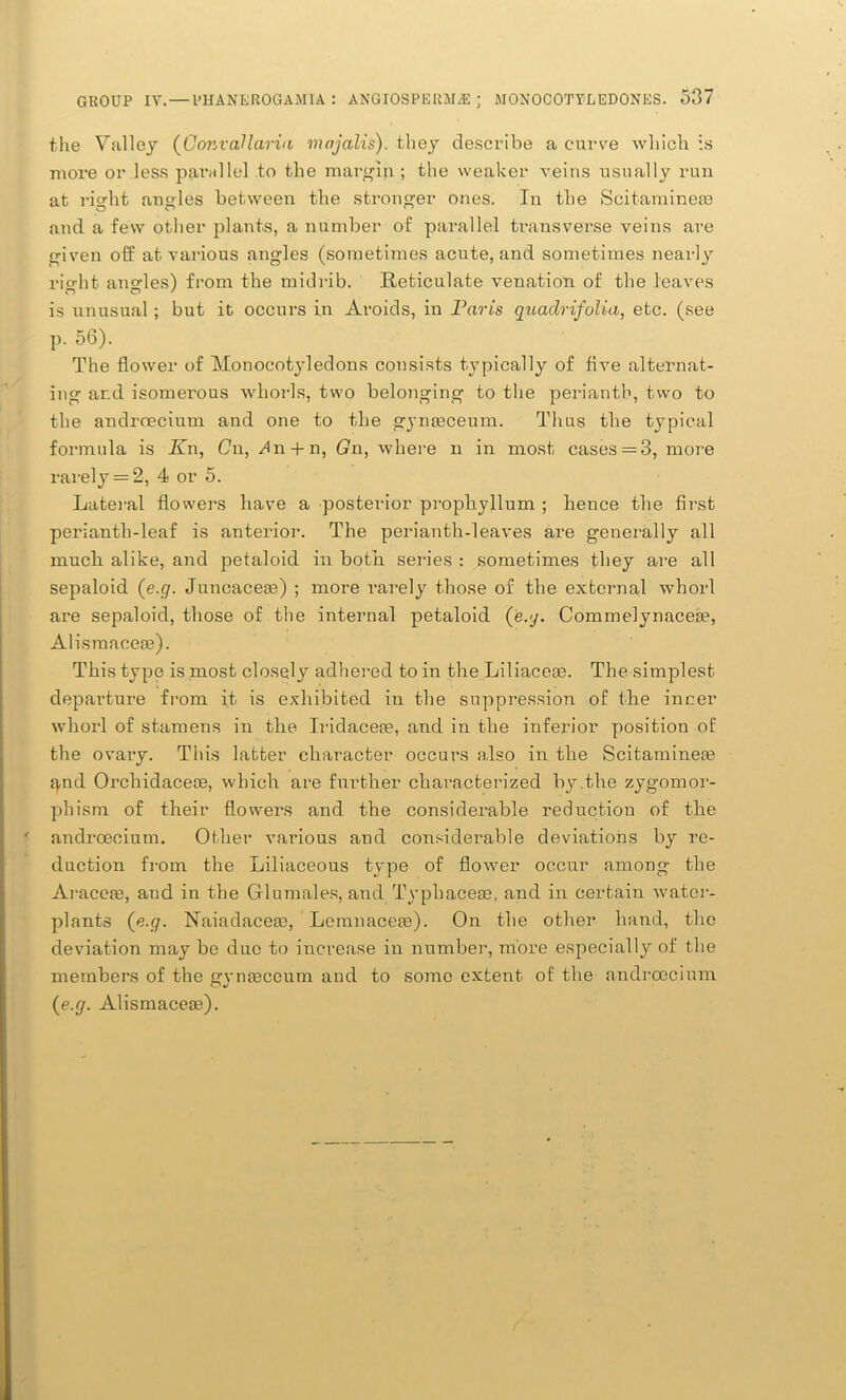 the Valley (GonvaUaria majalis). they describe a curve which is more or less parallel to the margin ; the weaker veins usually run at right angles between the stronger ones. In the Scitaminese and a few other plants, a number of parallel transverse veins are given off at various angles (sometimes acute, and sometimes nearly right angles) from the midrib. Reticulate venation of the leaves is unusual; but it occurs in Aroids, in Paris quadrifolia, etc. (see p. 56). The flower of Monocotyledons consists typically of five alternat- ing ar.d isomerous whorls, two belonging to the perianth, two to the androecium and one to the gynceceum. Thus the typical formula is Kn, Cn, ^n + n, Gn, where n in most cases = 3, more rarely = 2, 4 or 5. Lateral flowers have a posterior prophvllum ; hence the first perianth-leaf is anterior. The perianth-leaves ai*e generally all much alike, and petaloid in both series : sometimes they are all sepaloid {e.g. Juncaceas) ; more rarely those of the external whorl are sepaloid, those of the internal petaloid {e.g. Commelynacea?, Alismacece). This type is most closely adhered to in the Liliaceas. The simplest departure from it is exhibited in the suppression of the inner whorl of stamens in the Iridacea?, and in the inferior position of the ovary. This latter character occurs also in the Scitaminece f),nd Orchidacece, which are further characterized by.the zygomor- pliism of their flowers and the considerable reduction of the andrceeium. Other various and considerable deviations by re- duction from the Liliaceous type of flower occur among the Araceae, and in the Glumales, and Typhaceae, and in certain water- plants (e.g. Raiadaceae, Lemnacese). On the other hand, the deviation may be due to increase in number, more especially of the members of the gvmeceum and to some extent of the androecium {e.g. Alismaceaa).