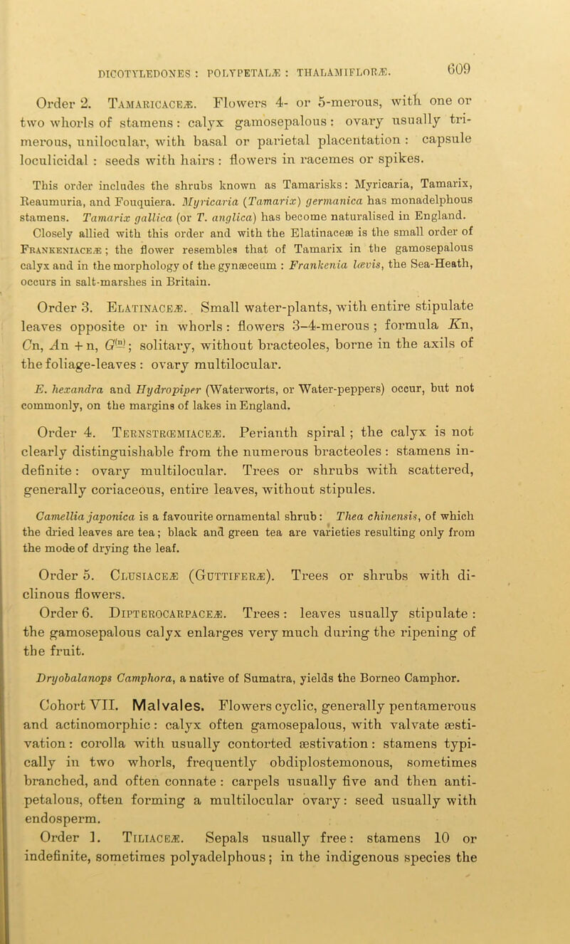 Order 2. Tamaricace®. Flowers 4- or 5-merous, with one or two whorls of stamens : calyx gamosepalous : ovary usually tri- merous, unilocular, with basal or parietal placentation : capsule loculicidal : seeds with hairs : flowers in racemes or spikes. This order includes the shrubs known as Tamarisks: Myricaria, Tamarix, Reaumuria, and Fouquiera. Myricaria (Tamarix) germanica has monadelphous stamens. Tamarix gallica (or T. anglica) has become naturalised in England. Closely allied with this order and with the Elatinace® is the small order of Frankexiace.e ; the flower resembles that of Tamarix in the gamosepalous calyx and in the morphology of the gynaeceum : Franlcenia Icevis, the Sea-Heath, occurs in salt-marshes in Britain. Order 3. Elatinace®. Small water-plants, with entire stipulate leaves opposite or in whorls : flowers 3-4-merous ; formula Kn, On, Gn + n, >; solitary, without bracteoles, borne in the axils of the foliage-leaves : ovary multilocular. E. hexandra and Hydropiper (Waterworts, or Water-peppers) occur, but not commonly, on the margins of lakes in England. Order 4. Ternstrcemiace®. Perianth spiral ; the calyx is not clearly distinguishable from the numerous bracteoles : stamens in- definite : ovary multilocular. Trees or shrubs with scattered, generally coriaceous, entire leaves, without stipules. Camellia japoiiica is a favourite ornamental shrub : Thea chinensis, of which the dried leaves are tea; black and green tea are varieties resulting only from the mode of drying the leaf. Order 5. Clusiace® (Guttifer®). Trees or shrubs with di- clinous flowers. Order 6. Dipterocarpace®. Trees: leaves usually stipulate: the gamosepalous calyx enlarges very much during the ripening of the fruit. Dryobalanops Camphora, a native of Sumatra, yields the Borneo Camphor. Cohort VII. Mai vales. Flowers cyclic, generally pentamerous and actinomorphic: calyx often gamosepalous, with valvate aesti- vation : corolla with usually contorted aestivation : stamens typi- cally in two whorls, frequently obdiplostemonous, sometimes branched, and often connate : carpels usually five aud then anti- petalous, often forming a multilocular ovary: seed usually with endosperm. Order ]. Tiliace®. Sepals usually free: stamens 10 or indefinite, sometimes polyadelphous; in the indigenous species the