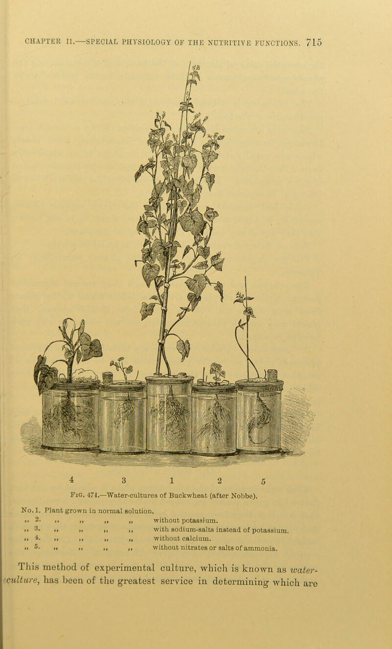 Fig. 471.—'Water-cultures of Buckwheat (after Nobbe). No. 1. Plant grown in normal solution. >» 2. ,, „ „ „ without potassium. • > 3. ,, ,, ,, ,, with sodium-salts instead of potassium. »> 4. ,, ,, „ „ without calcium. .. >* >> „ ,, without nitrates or salts of ammonia. This method of experimental culture, which is known as water- culture, has been of the greatest service in determining which are