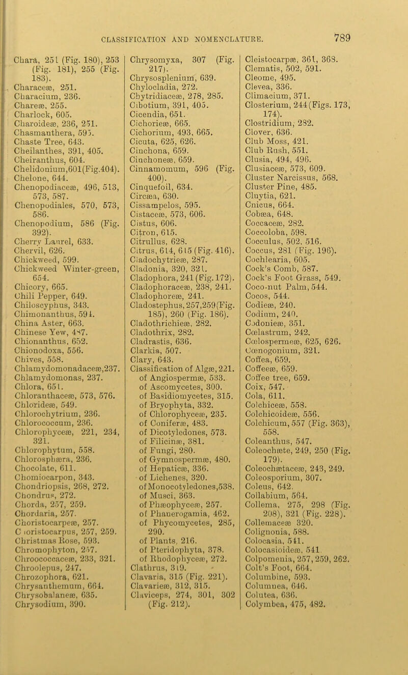 Chara, 251 (Fig. 180), 253 (Fig. 181), 255 (Fig. 1S3). Charace®, 251. Characium, 236. Chare®, 255. Charlock, 605. Charoide®, 236, 251. Chasmanthera, 593. Chaste Tree, 643. Cheilanthes, 391, 405. Cheiranthus, 604. Chelidonium,601(Fig.404). Chelone, 644. Chenopodiace®, 496, 513, 573, 587. Chenopodiales, 570, 573, 5S6. Chenopodium, 586 (Fig. 392). Cherry Laurel, 633. Chervil, 626. Chiekweed, 599. Chickweed Winter-green, 654. Chicory, 665. Chili Pepper, 649. Chiloscyphus, 343. Chimonanthus, 591. China Aster, 663. Chinese Yew, 4s7. Chionanthus, 652. Chionodoxa, 556. Chives, 558. Chlamydomonadaee®,237. Chlamydomonas, 237. Chlora, 651. Chloranthace®, 573, 576. Chloride®, 549. Chlorochytrium, 236. Chlorocoecum, 236. Chlorophyce®, 221, 234, 321. Chlorophytum, 558. Chlorosphffira, 236. Chocolate, 611. Chomiocarpon, 343. Chondriopsis, 268, 272. Chondrus, 272. Chorda, 257, 259. Chordaria, 257. Choristocarpe®, 257. C loristocarpus, 257, 259. Christmas Eose, 593. Chromophyton, 257. Chroococcace®, 233, 321. Chroolepus, 247. Chrozophora, 621. Chrysanthemum, 664. Chrysobalane®, 635. Chrysodium, 390. Chrysomyxa, 307 (Fig. 217). Chrysosplenium, 639. Chylocladia, 272. Cbytridiace®, 278, 285. Cibotium, 391, 405. Cicendia, 651. Cichorie®, 665. Cichorium, 493, 665. Cicuta, 625, 626. Cinchona, 659. Cinchone®, 659. Cinnamomum, 596 (Fig. 400). Cinquefoil, 634. Circffia, 630. Cissampelos, 595. Cistace®, 573, 606. Cistus, 606. Citron, 615. Citrullus, 628. Citrus, 614, 615 (Fig. 416). Ciadoehytrie®, 287. Cladonia, 320, 321. Cladophora, 241 (Fig. 172). Cladophorace®, 238, 241. Cladophore®, 241. Cladostephus, 257,259 (Fig. 185), 260 (Fig. 186). Cladothrichie®, 282. Cladothrix, 282. Cladrastis, 636. Clarkia, 507. Clary, 643. Classification of Alg®, 221. of Angiosperm®, 533. of Ascomycetes, 300. of Basidiomycetes, 315. of Bryophyta, 332. of Chlorophyce®, 235. of Conifer®, 483. of Dicotyledones, 573. of Filicin®, 381. of Fungi, 280. of Gymnosperm®, 480. of Hepatic®, 336. of Lichenes, 320. of Monocotyledones,538. of Musci, 363. of Plifflophyce®, 257. of Phanerogamia, 462. of Phycomycetes, 285, 290. of Plants, 216. of Pteridophyta, 378. of Khodophyce®, 272. Clathrus, 319. Clavaria, 315 (Fig. 221). Clavarie®, 312, 315. Claviceps, 274, 301, 302 (Fig. 212). Cleistocarp®, 361, 368. Clematis, 502, 591. Cleome, 495. Clevea, 336. Climacium, 371. Closterium, 244(Figs. 173, 174). Clostridium, 282. Clover, 636. Club Moss, 421. Club Bush, 551. Clusia, 494, 496. Clusiace®, 573, 609. Cluster Narcissus, 568. Cluster Pine, 485. Cluytia, 621. Cnicus, 664. Cobffia, 648. Coccace®, 282. Coccoloba, 598. Cocculus, 502, 516. Coccus, 281 (Fig. 196). Cochlearia, 605. Cock’s Comb, 587. Cock’s Foot Grass, 549. Coco-nut Palm, 544. Cocos, 544. Codie®, 240. Codium, 240. Codonie®, 351. Coelastrum, 242. Coelospermere, 625, 626. Coenogonium, 321. Coffea, 659. Coffee®, 659. Coffee tree, 659. Coix, 547. Cola, 611. Colchice®, 558. Colchicoide®, 556. Colchicum, 557 (Fig. 363), 558. Coleanthus, 547. Coleoch®te, 249, 250 (Fig. 179). Coleoch®tace®, 243, 249. Coleosporium, 307. Coleus, 642. Collabium, 564. Collema, 275, 298 (Fig. 208), 321 (Fig. 228). Collemace® 320. Coliguouia, 588. Colocasia, 541. Colocasioidero, 541. Colpomenia, 257, 259, 262. Colt’s Foot, 664. Columbine, 593. Columuea, 646. Colutea, 636. Colymbea, 475, 482.