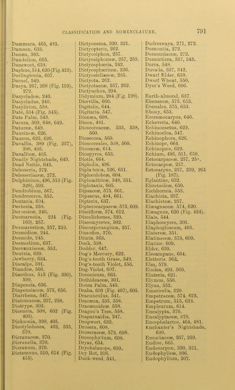 Dammara, 465, 433. ])amson, 633. Danaea, 383. Dandelion, 665. Danewort, 659. Daphne, 514,620 (Fig.423). Darlingtonia, 607. Darnel, 549. Dasya, 267, 268 (Fig. 193), 272. Dasycladeas, 240. Dasycladus, 240. Dasylirion, 558. Date, 534 (Fig. 345). Date Palm. 543. Datura, 509, 648, 649. Daturese, 649. Daucineae, 626. Daacus, 625, 626. Davallia, 389 (Fig. 257), 390, 405. Davallieae, 405. Deadly Nightshade, 649. Dead Nettle, 643. Delesseria, 272. Delesseriaceas, 272. Delphinium, 496, 513 (Fig. 328), 593. Dendrobium, 567. Dendroceros, 352. Dentaria, 604. Derbesia, 233. Deroesieaa, 240. Desmarestia, 224 (Fig. 160), 257. Desmarestieas, 257, 259. Desmidiete, 244. Desmids, 245. Desmodium, 637. Desvauxiaceae, 552. Deutzia, 639. Dewberry, 634. Diacalpe, 391. Diandrae, 566. Diantkus, 515 (Fig. 330), 599. Diapensia, 656. Diapensiaceie, 575, 656. Diarrhena, 547. Diatomaceae, 257, 258. Diatrype, 302. Dicentra, 508, 602 (Fig. 405). Dicksonia, 390, 405. Dicotyledones, 462, 533, 570. Dicranaceae, 370. Dicranella, 370. Dicranum, 370. Dictamuus, 510, 614 (Fig. 415). Dictyonema, 320, 321. Dictyopteris, 262. Dictyosiphon, 257. Dictyosipkonea?, 257, 259. Dictyosphaeria, 242. Dictyosphaerium, 236. Dictyosteliaceae, 285. Dietyota, 262. Dictyotaceaj, 257, 262. Dictyuchus, 294. Didymium, 284 (Fig. 198). Diervilla, 660. Digitalis, 644. Digitaria. 547. Dionaea, 608. Dioon, 481. Dioscoreaceas, 533, 538, 560. Dioscorea, 560. Dioscoreales, 538, 560. Diosmeae, 614. Diospyros, 653. Diotis, 664. Dipholis, 496. Diplalenia, 526, 651. Diplocolobete, 604. Diplomitriese, 348, 351. Diplotaxis, 605. Dipsaceaa, 575, 661. Dipsacus, 494, 661. Dipterix, 637. Dipterocarpaceas, 573, 609. Discifloraa, 574, 612. Discolichenes, 320. Discomycetes, 302. Discosporangium, 257. Dissodon, 370. Diuris, 563. Dock, 598. Dodder, 647. Dog's Mercury, 622. Dog’s-tooth Grass, 549. Dog’s-tooth Violet, 556. Dog-Violet, 607. Doronicum, 663. Dothideaceas, 301. Doum Palm, 543. Draba, 603 (Fig. 407), 605. Dracunculus, 541. Dracama, 535, 558. Draeaenoideae, 558. Dragon’s Tree, 558. Draparnaldia, 247. Dropwort. 632. Drosera, 608. Droseraceas, 573, 608. Drosophyllum, 608. Dryas, 634. Dryobalanops, 609. Dry Rot, 316. Duck-weed, 541. Dudresnaya, 271, 272. Pumontia, 272. Duniontiacese, 272. Dumortiera, 337, 343. Durra, 548. Duvalia, 337, 342. Dwarf Elder, 659. Dwarf Wheat, 550. Dyer's Weed, 606. Earth-almond, 637- Ebenacete, 575, 653. Ebenales, 575, 653. Ebouy, 653. Eccremocarpus, 646. Echeveria, 640. Echiuocactus, 629. Echinocloa, 547. Echinophora, 626. Echinops, 664. Echinopsis, 629. Echium, 496, 511. 650. Ectocarpaceae, 257, 25v. Ectocarpeae, 257. Ectocarpus, 257, 259, 261 (Fig. 187). Eglantine, 632. Ehretoideae, 650. Eichliornia, 559. Elachista, 257. Elachisteae, 257. Elasagnaceas. 574, 620. Elteaguus, 620 (Fig. 424). Elais, 544. Elaphomyces, 301. Elaplioglossum, 405. Elaterese, 351. Elatinaceae, 573, 609. Elatine. 609. Elder, 659. Elecampane, 664. Eletteria. 562, Elm, 579. Elodea, 493. 560. Eluteria, 621. Elymus, 550. Elyna, 552. Emericella, 320. Empetruceae, 574. 623. Empetrum, 515, 623. Empleurum, 614. Encalypta, 370. Encalyptaceac, 370. Encephalarto3, 464, 481. Enchanter’s Nightshade, 630. Encueliaceao, 257, 259. Eudive, 665. Endocarpon, 320, 321. Endophyllero, 306. Endophyllum, 307.