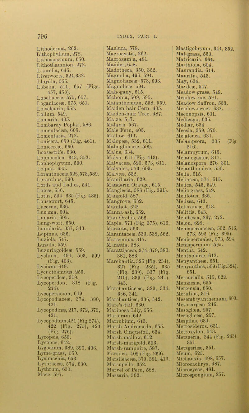 Lithoderraa, 262. Lithophyllum, 272. Lithospermum, 650. Lithothamnion, 272. L torella, 646. Liverworts, 324,332. Lloydia, 556. Lobelia, 511, 657 (Figs. 457, 458). Lobeliacese, 575, 657. Loganiacese, 575, 651. Loiseleuria, 655. Lolium, 549. Lomai'ia, 405. Lombardy Poplar, 586. Lomentaceae, 605. Lomentaria. 272. Lonicera, 659 (Fig. 461). Lonicerete, 660. Loosestrife, 630. Lophocolea 343, 352. Lophopbytum, 590. Loquat, 635. Lorauthaceae,523,573,589. Loranthus, 590. Lords and Ladies, 541. Loteae, 636. Lotas, 594, 635 (Fig. 435). Lousewort, 645. Lucerne, 636. Lncama, 504. Lunaria, 605. Lung-wort, 650. Lunularia, 337, 343. Lnpinus, 636. Luziola, 547. Luzula, 559. Luzuriagoideae, 559. Lychnis, 494, 503, 599 (Fig. 403). Lycium, 649. Lycnothamnus, 255. Lycoperdeae, 318. Lycoperdou, 318 (Fig. 224). Lycopersicum, 649. Lycopodiacese, 374, 380, 421. Lycopodinae, 217, 372, 379, 421. Lycopodium,421 (Fig.274), 422 (Fig. 275), 423 (Fig. 276). Lycopsis, 650. Lycopus, 642. Lygodiutn, 389, 390, 406. Lyme-grass, 550. Lysimacliia, 653. Lythraceae, 574, 630. Lythruin, 630. Mace, 597. Maclura, 578. Macrocystis, 262. Macrozamia, 481. Madder, 658. Madotheca, 350, 352. Magnolia, 496, 594. Magnoliaeeae, 573, 593. Magnolieae, 594. Mahogany, 615. Mahonia, 509, 595. Maianthemum, 558, 559. Maiden-hair Fern, 405. Maiden-hair Tree, 487. Maize, 5 17. Malaxis. 567. Male Fern, 405. Mallow, 611. Malopeae, 532, 611. Malpighiacese, 509. Malus, 634. Malva, 611 (Fig. 413). Malvaceae, 520, 573, 611. Malvales, 573, 609. Malveae, 532. Mamillaria, 629. Mandarin Orange, 615. Manglesia, 586 (Fig. 391). Mangold, 587. Mangrove, 632. Manihot, 622 Manna-ash, 652. Man Orchis, 566. Maple, 571 (Fig. 375), 616. Maranta, 563. Marantaceae, 533, 538, 562. Marasmius, 317. Marattia, 383. Marattiaceae, 374,379,380, 381, 383. Marchantia,326 (Fig. 234), 327 (Fig. 235), 335 (Fig. 239), 337 (Fig. 240), 339 (Fig. 241), 343. Marcbautiaceae, 329, 334, 336, 341. Marchantieae, 336, 342. Mare’s-tail, 630. Mariposa Lily, 556. Marjoram, 642. Marrubium, 6 13. Marsh Andromeda, 655. Marsh Cinquefoil, 634. Marsh-mallow, 612. Marsh-marigold, 593. Marsh-aampliire, 587. Marsilea, 409 (Fig. 269). Marsileaceae, 379, 381, 415. Marsupella, 352. Marvel of Peru, 588. Massaria, 302. Mastigobryum, 344, 352. Mat grass, 550. Matricaria, 664. Maithiola, 604. Manrandia, 644. Mauritia, 543. May, 634. Maulete, 547. Meadow-grass, 5 49. Meadow-rue, 591. Meadow Saffron, 553. Meadow-sweet, 632. Meconopsis, 601. Medicago, 636. Medlar, 634. Meesia, .359, 370. Melaleuca, 631. Melampsora, 306 (Fig. 216). Melampyrum, 615. Melanogaster, 317. Melanospora, 276 301. Melanthioideae, 556. Melia, 615. Meliaceae, 574, 615. Melica, 545, 549. Melic-grass, 549. Melilotus, 636. Melissa, 643. Melissineae, 643. Melittis, 643. Melobesia, 267, 272. Melon, 623. Meuispermaceae, 502, 5L6, 573, 595 (Fig. 399). Menispermales, 573, 594. Menispermum, 595. Mentha, 642. Menthoideae, 642. Menyantheae, 651. Menyanthes, 509 (Fig.324), 651. Mercurialis, 515, 622. Menziesia, 655. Mertensia, 650. Merulius, 316. Mesembryanthemum, 600. Mesoearpem 246. Mesogloea, 257. Mesogloeeae, 257. Mespilus, 634. Metrosideros, 631. Metroxylon, 543. Metzgeria, 344 (Fig. 243), 351. Metzgeriene, 351. Meum, 625. Michauxia, 498, 657. Microcaelirys, 487. Microcycas, 481. Miorospongium, 257.