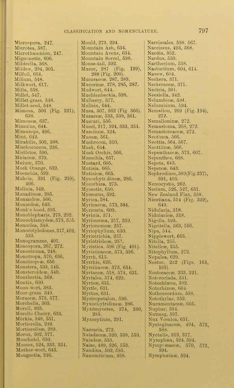 Micro*pora, 247. Microtea, 587. Microthamnion, 247. Mignonette, 606. Mildeella, 368. Mildew, 294, 301. Milfoil, 664. Milium, 548. Milkwort, 617. Milla, 558. Millet, 547. Millet-grass, 518. Millet-seed, 548. Mimosa, 506 (Fig. 321), 638. Mimosese, 637. Mimulus, 644. Mimusops, 496. Mint, 642. Mirabilis, 509, 588. Misehococcns, 236. Mistletoe, 590. Mniace®, 370. Muium, 370. Mock Orange, 639. Moencbia, 599. Mohtia, 391 (Fig. 259), 406. Molinia, 549. Monadine®, 285. Monandr®, 566. Monarde®, 643. Monk’s hood, 593. Monoblepharis, 275, 292. Monochlamyde®,573, 575. Monoclea, 348. Monocotyledones, 217,462, 533. Monogramme, 401. Mouospora, 267, 272. Monostroma, 248. Monotropa, 570, 656. Monotrope®, 656 Monstera, 533, 540. Monsteroide®, 540. Montbretia, 569. Montia, 600. Moon-wort, 383. Moor-grass 549. Morace®, 573, 577. Morchella, 303. Morell, 303. Morello Cherry, 633. Morkia, 348, 351. Mortierella, 289. Mortierelle®, 289. Morns, 502, 577. Moschatel, 659. Mosses, 324, 333, 354. Mother-wort, 643. Mougeotia, 246. Mould, 273, 294. Mountain Ash, 634. Mountain Avens, 634. Mountain Sorrel, 598. Mouse-tail, 592. Mucor, 287 (Fig. 199), 288 (Fig. 200). Mucorace®, 287, 289. Mucorin®, 278, 285, 287. Mudwort, 644. Muehlenbeckia, 598. Mulberry, 577. Mullein, 644. Musa, 507, 562 (Fig. 366). Musace®, 533, 538, 561. Muscari, 556. Musci, 217, 324, 333, 354. Musciue®, 324. Muse®, 561. Mushroom, 310. Musk, 644. Musk Orchis, 566. Musschia, 657. Mustard, 605. Mutisia, 665. Mutisie®, 665. Mycochytr.'dine®, 286. Mycorliiza, 273. Myosotis, 650. Myosurus, 592. Myrica, 584. Myricace®, 573, 584. Mjricaria, 609. Myrinia, 371. Myrionema, 257, 259. Myrioneme®, 257. Myriophyllum, 630. Myriotrichia, 257. Myriotriclie®, 257. Myristica, 596 (Fig. 401). Myristicace®, 573, 596. Myrrh, 615. Myrrhis, 626. Myrsinace®. 575, 654. Myrtace®, 518, 574, 631. Myrtales, 574, 629. Myrte®, 631. Myrtle, 631. Myrtus, 631. Mystropetalon, 590. Myxochytridine®, 286. Myxomycetes, 274, 280, 283. Myzocytium, 291. Naccaria, 272. Naiadace®, 520, 538, 553. Naiade®, 553. Naias, 489, 526, 553. Nandina, 502, 595. Nanomitrium, 368. Narcissales, 538. 567. Narcissus, 493, 568. Nardia, 352. Nardus, 550. Narthecium, 558. Nasturtium, 604, 614. Navew, 604. Neckera, 371. Neckerace®, 371. Nectria, 301. Neesiella, 342. Nelumbie®, 594. Nelumbium. 594. Nemaliou, 269 (Fig. 194), 272. Nemalionin®, 272. Nemastoma, 268, 272. Nemastomace®, 272. Neotinea, 566. Neottia, 564, 567. Neottiin®, 566. Nepenthace®, 573, 607. Nepenthes, 608. Nepeta, 64 3. Nepete®, 643. Nephrodium,389(Fig.257), 391, 405. Nereocystis, 262. Nerium, 526, 527, 651. New Zealand Flax, 558. Nicotiana, 514 (Fig. 329), 649. Nidularia, 318. Nidularie®, 318. Nigella, 593. Nigritella, 563, 566. Nipa, 544. Nipplewort, 665. Nitella, 255. Nitelle®, 255. Nitophyllum, 272. Nopalea, 629. Nostoc, 232 (Figs. 164, 165). Nostocace®, 233, 321. Noteroclada, 351. Notochlroua, 392. Notorhize®, 604. Nothoscordum, 558. Nototliylas, 352. Nucumentace®, 605. Nuphar, 594. Nutmeg, 597. Nux Vomica, 651. Nyctnginace®, 494, 573, 588. Nyctalis, 313, 317. Nymphffia, 524, 594. Nympi'ffiace®, 570, 573, 594. Nymph®in®, 594.