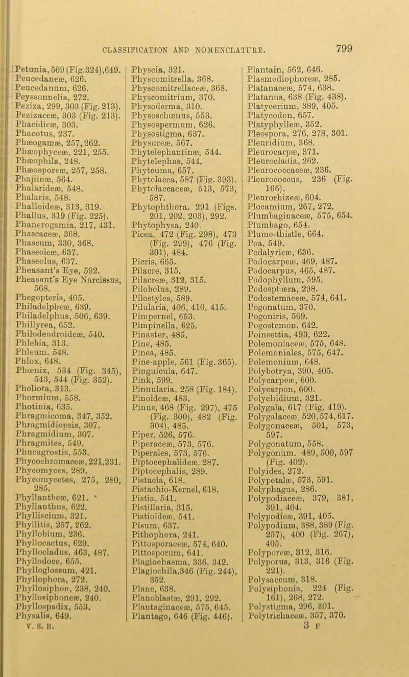 Petunia, 509 (Fig.324),649. Peucedaneae, 626. Peucedanum, 626. Peyssonnelia, 272. Peziza, 299, 303 (Fig. 213). Pezizacese, 303 (Fig. 213). Phacidieae, 303. Pliacotus, 237. Phmogamas, 257,262. Phaeopbyceae, 221, 255. Phffiophila, 248. Phaeosporeae, 257, 258. Phajiinae, 564. Phalarideae, 548. Pbalaris, 548. Pballoide®, 313, 319. Phallus, 319 (Fig. 225). Phanerogamia, 217, 431. Phascaceae, 368. Phascum, 330, 368. Phaseoleae, 637. Pbaseolus, 637. Pheasant’s Eye, 592. Pheasant's Eye Narcissus, 568. Phegopteris, 405. Philadelpheae, 639. Philadelphia, 506, 639. Phillyrea, 652. Philodendroideas, 540. Phlebia, 313. Phleum. 548. Phlox, 648. Phoenix, 534 (Fig. 345), 543, 544 (Fig. 352). Pholiota, 313. Phormiutn, 558. Photinia, 635. Phragmicoma, 347, 352. Phragmidiopsis, 307. Phragmidium, 307. Phragmites, 549. Phucagrostis, 553. Phycochromaceoe, 221,231. Phycomyces, 289. Phycomycetes, 275, 280, 285. Phyllantbeae, 621. * Phyllanthus, 622. Phylliscium, 321. Phyllitis, 257, 262. Phyllobium, 236. Phyllocactus, 629. Phyllocladus, 463, 487, Phyllodoce, 655. Phylloglossura, 421. Phyllophora, 272. Phyllosiphon, 238, 240. Phyllosiphonese, 240. Pbyllospadix, 553. physalis, 649. V. 8. R. Physcia, 321. Physcomitrella, 368. Physcomitrellaceae, 368. Physcomitrium, 370. Physoderma, 310. Physoschoenus, 553. Physospermum, 626. Physostigma, 637. Physureas, 567. Phytelepliantinae, 544. Phytelephas, 544. Phyteuma, 657. Phytolacca, 587 (Fig. 393). Phytolaccaceae, 513, 573, 587. Phytophthora, 291 (Figs. 201, 202, 203), 292. Phytophysa, 240. Picea, 472 (Fig. 298), 473 (Fig. 299), 476 (Fig. 301), 484. Picris, 665. Pilacre, 315. Pilacreae, 312, 315. Pilobolus, 289. Pilostyles, 589. Pilularia, 406, 410, 415. Pimpernel, 653. Pimpinella, 625. Pinaster, 485. Pine, 485. Pinea, 485. Pine-apple, 561 (Fig. 365). Pinguicula, 647. Pink, 599. Pinnularia, 258 (Fig. 184). Pinoideae, 483. Pinus, 468 (Fig. 297), 475 (Fig. 300), 482 (Fig. 304), 485. Piper, 526, 576. Piperaceae, 573, 576. Piperales, 573, 576. Piptocephalideae, 287. Piptocephalis, 289. Pistacia, 618. Pistachio-Kernel, 618. Pistia, 541. Pistillaria, 315. Pistioideie, 541. Pisum, 637. Pithophora, 241. Pittosporacece, 574, 640. Pittosporum, 641. Plagiochasma, 336, 342. Plagiochila,346 (Fig. 244), 352. Plane, 638. Planoblastoo, 291, 292. Plantaginaceae, 575, 645. Plantago, 646 (Fig. 446). Plantain, 562, 646. Plasmodiophoreas, 285. Platanaceae, 574, 638. Platanus, 638 (Fig. 438). Platycerium, 389, 405. Platycodon, 657. Platyphyllese, 352. Pleospora, 276, 278, 301. Pleuridium, 368. Pleurocarpas, 371. Pleurocladia, 262. Pleurococcaceee, 236. Pleurococcus, 236 (Fig. 166). Pleurorhizeffi, 604. Plocamium, 267, 272. Plumbaginaceae, 575, 654. Plumbago, 654. Plume-thistle, 664. Poa, 549. Podalyrieas, 636. Podocarpeae, 469, 487. Podocarpus, 465, 487. Podophyllum, 595. Podospbaera, 298. Podostemaceae, 574, 641. Pogonatum, 370. Pogoniris, 569. Pogostemon, 642. Poinsettia, 493, 622. Polemoniaceae, 575, 648. Polemoniales, 575, 647. Polemonium, 648. Polybotrya, 390, 405. Polycarpeae, 600. Polycarpon, 600. Polychidium, 321. Polygala, 617 (Fig. 419). Polygalaceae, 520,574,617. Polygonaceae, 501, 573, 597. Polygonatum, 558. Polygonum. 489, 500, 597 (Fig. 402). Polyides, 272. Polypetalm, 573, 591. Polypbagus, 286. Polypodiacese, 379, 381, 391. 404. Polypodieae, 391, 405. Polypodium, 388, 389 (Fig. 257), 400 (Fig. 267], 405. Polyporeae, 312, 316. Polyporus, 313, 316 (Fig. 221). Polysaccum, 318. Polysiplionia, 224 (Fig. 161), 268, 272. Polystigma, 296, 301. Polytrichacea3, 357, 370. 3 F