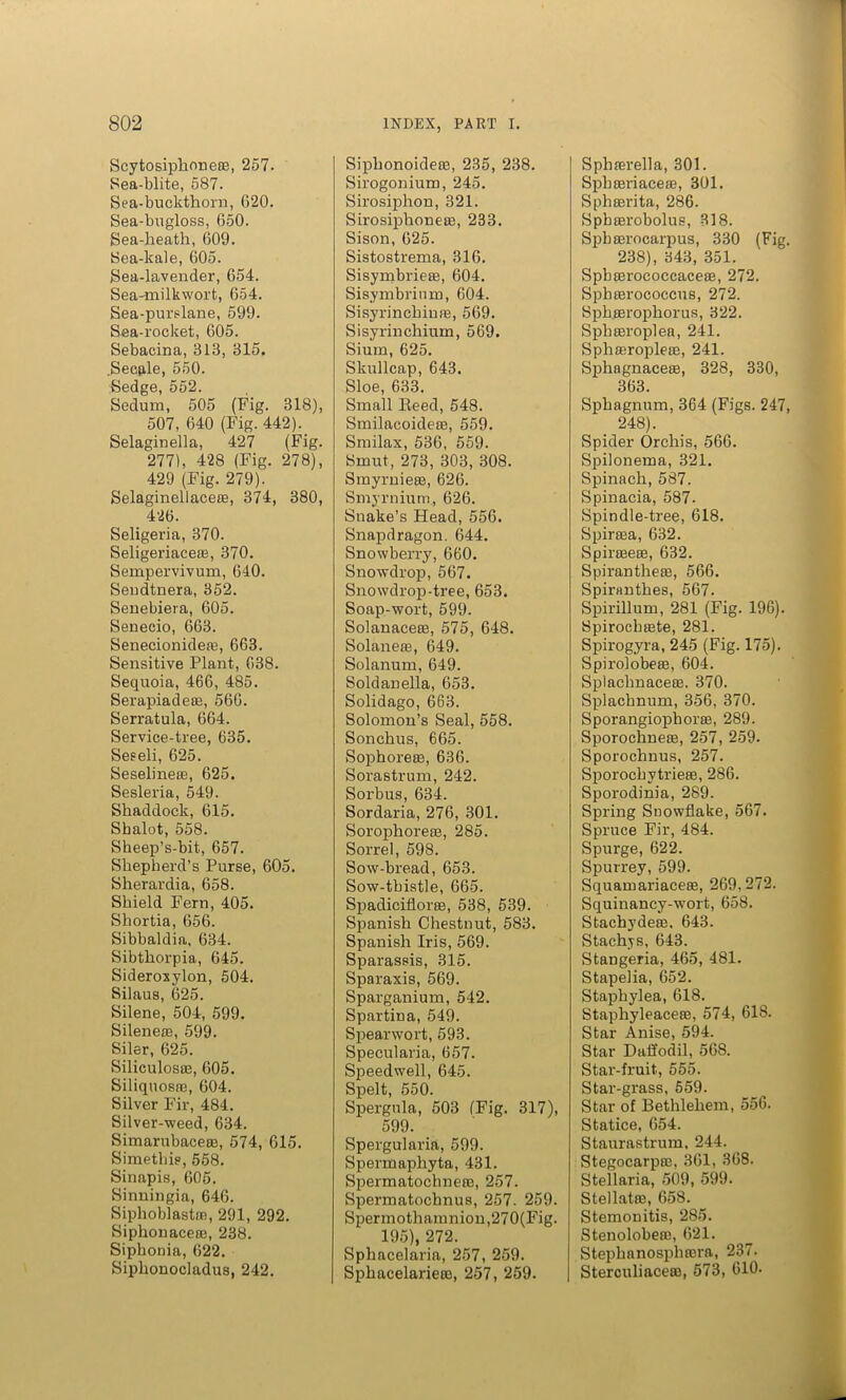 Scytosiphoneae, 257. Sea-blite, 587. Sea-buckthorn, 620. Sea-bugloss, 650. Sea-heath, 609. Sea-kale, 605. Sea-lavender, 654. Sea-milkwort, 654. Sea-purslane, 599. Sea-rocket, 605. Sebacina, 313, 315. Secale, 550. Sedge, 552. Sedum, 505 (Fig. 318), 507, 640 (Fig. 442). Selaginella, 427 (Fig. 277), 428 (Fig. 278), 429 (Fig. 279). Selaginellacete, 374, 380, 426. Seligeria, 370. Seligeriaceas, 370. Sempervivum, 640. Sendtnera, 352. Senebiera, 605. Senecio, 663. Senecionidete, 663. Sensitive Plant, 638. Sequoia, 466, 485. Serapiadeae, 566. Serratula, 664. Service-tree, 635. Seseli, 625. Seselineas, 625. Sesleria, 549. Shaddock, 615. Sbalot, 558. Sheep’s-bit, 657. Shepherd’s Purse, 605. Sherardia, 658. Shield Fern, 405. Shortia, 656. Sibbaldia, 634. Sibthorpia, 645. Sideroxylon, 504. Silaus, 625. Silene, 504, 599. Silenere, 599. Siler, 625. Siliculosae, 605. Siliquosas, 604. Silver Fir, 484. Silver-weed, 634. Simarubaceae, 574, 615. Simetliis, 558. Sinapis, 605. Sinningia, 646. Siphoblastm, 291, 292. Siphonacere, 238. Siphonia, 622. Siphonocladus, 242. Siphonoideae, 235, 238. Sirogonium, 245. Sirosiphon, 321. Sirosiphoneae, 233. Sison, 625. Sistostrema, 316. Sisymbrieae, 604. Sisymbrium, 604. SisyrinchinjE, 569. Sisyrinchium, 569. Sium, 625. Skullcap, 643. Sloe, 633. Small lleed, 548. Smilacoidete, 559. Smilax, 536, 559. Smut, 273, 303, 308. Smyrniese, 626. Smyruium, 626. Snake’s Head, 556. Snapdragon. 644. Snowberry, 660. Snowdrop, 567. Snowdrop-tree, 653. Soap-wort, 599. Solanaceas, 575, 648. Solaneae, 649. Solanum, 649. Soldanella, 653. Solidago, 663. Solomon’s Seal, 558. Sonchus, 665. Sophoreae, 636. Sorastrum, 242. Sorbus, 634. Sordaria, 276, 301. Sorophoreae, 285. Sorrel, 598. Sow-bread, 653. Sow-tbistle, 665. Spadiciflorae, 538, 539. Spanish Chestnut, 583. Spanish Iris, 569. Sparassis, 315. Sparaxis, 569. Sparganium, 542. Spartina, 549. Spearwort, 593. Specularia, 657. Speedwell, 645. Spelt, 550. Spergnla, 503 (Fig. 317), 599. Spergularia, 599. Spermaphyta, 431. SpermatochneaB, 257. Spermatochnus, 257. 259. Spermothamnion,270(Fig. 195), 272. Sphacelaria, 257, 259. Sphacelarieae, 257, 259. Sphserella, 301. Sphoeriaceas, 301. Sphaerita, 286. Spbaerobolus, 318. Spbaerocarpus, 330 (Fig. 238), 343, 351. Sphaerococcaceae, 272. Spbaerococcus, 272. Sphaerophorus, 322. Sphaeroplea, 241. Sphaeropleae, 241. Sphagnaceae, 328, 330, 363. Sphagnum, 364 (Figs. 247, 248). Spider Orchis, 566. Spilonema, 321. Spinach, 587. Spinacia, 587. Spindle-tree, 618. Spiraea, 632. Spiraeeae, 632. Spirantheae, 566. Spiranthes, 567. Spirillum, 281 (Fig. 196). Spirochaete, 281. Spirogyra, 245 (Fig. 175). Spirolobeae, 604. Splaclmaceae. 370. Splacbnum, 356, 370. Sporangiophorae, 289. Sporochneae, 257, 259. Sporochnus, 257. Sporochytrieae, 286. Sporodinia, 289- Spring Snowflake, 567. Spruce Fir, 484. Spurge, 622. Spurrey, 599. Squamariaceae, 269,272. Squinancy-'wort, 658. Stachydeae. 643. Stachys, 643. Stangeria, 465, 481. Stapelia, (552. Staphylea, 618. Staphyleaceae, 574, 618. Star Anise, 594. Star Daffodil, 568. Star-fruit, 555. Star-grass, 559. Star of Bethlehem, 556. Statice, 654. Staurastrum. 244. Stegocarpte, 361, 368. Stellaria, 509, 599. Stellatro, 658. Stemonitis, 285. Stenolobeoe, 621. Stephanosphaera, 237. Sterculiaceae, 573, 610.