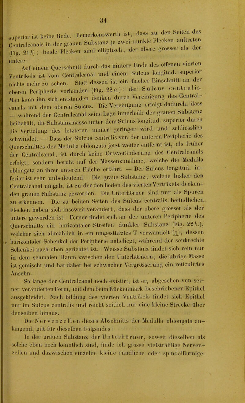 superior ist keine Rede. Bemerkenswerth ist, dass .u den Seilen des CeutrÄuals in der grauen Substanz, je zwei dunkle Flecken au treten (Fig. SU h); beide Flecken sind elliptisch, der obere giossci als dei * Auf einem Querschnitt durch das hintere Ende des offenen vierten Ventrikels ist vom Cenlralcanal und einem Sulcus longitud. superior nichts mehr zu sehen. Statt dessen ist ein flacher Einschnitt an der oberen Peripherie vorhanden (Fig. 22«.): der Sulcus centralis. Man kann ihn sich entstanden denken durch Vereinigung des Central canals mit dem oberen Sulcus. Die Vereinigung erfolgt dadurch, dass - während der Centralcanal seine Lage innerhalb der grauen Substanz beibehält, die Subslanzmasse unter dem Sulcus longitud. superior durch die Vertiefung des letzteren immer geringer wird und schliesslich schwindet. — Dass der Sulcus centralis von der unteren Peripherie des Querschnittes der Medulla oblongata jetzt weiter entfernt ist, als früher der Cenlralcanal, ist durch keine Ortsveränderung des Cenlraleanals erfolgt, sondern beruht auf der Massenzunahme, welche die Medulla oblongata an ihrer unteren Fläche erfährt. — Der Sulcus longitud. in- ferior ist sehr unbedeutend. Die graue Substanz, welche bisher den Centralcanal umgab, ist zu der den Boden des vierten Vertrikels decken- den grauen Substanz geworden. Die Unterhörner sind nur als Spuien zu erkennen. Die zu beiden Seiten des Sulcus centralis befindlichen Flecken haben sich insoweit verändert, dass der obere grösser als der untere geworden ist. Ferner findet sich an der unteren Peripherie des Querschnitts ein horizontaler Streifen dunkler Substanz (Fig. 22&.), welcher sich allmählich in ein umgestürztes T verwandelt (x), dessen horizontaler Schenkel der Peripherie naheliegt, während der senkrechte Schenkel nach oben gerichtet ist. Weisse Substanz findet sich rein nur in dem schmalen Raum zwischen den Unlerhörnern, die übrige Masse ist gemischt und hat daher bei schwacher Vergrösserung ein reticulirtes An sehn. So lange der Centralcanal noch existirt, ist er, abgesehen von sei- ner veränderten Form, mit dem beim Rückenmark beschriebenen Epithel ausgekleidet. Nach Bildung des vierten Ventrikels findet sich Epithel nur im Sulcus centralis und reicht seitlich nur eine kleine Strecke über denselben hinaus. Die Nervenzellen dieses Abschnitts der Medulla oblongata an- langend, gilt für dieselben Folgendes: In der grauen Substanz der Unterhörner, soweit dieselben als solche eben noch kenntlich sind, finde ich grosse vielstrahlige Nerven- zellen und dazwischen einzelne kleine rundliche oder spindelförmige.