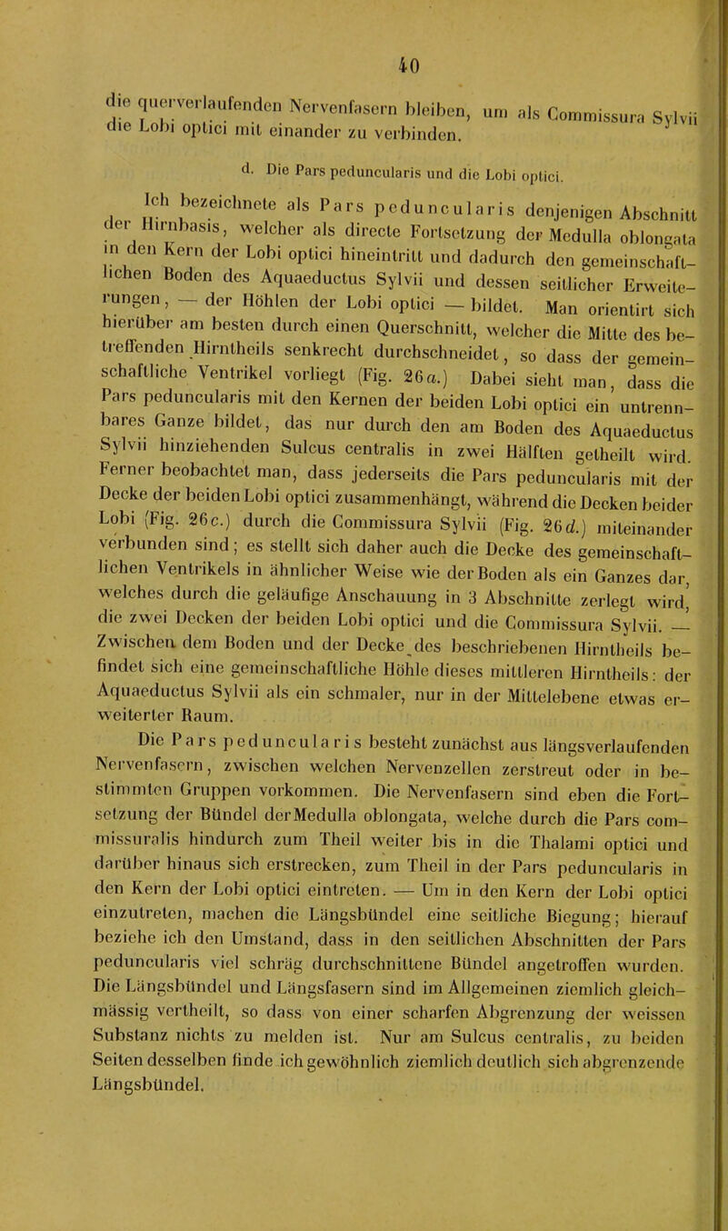 Oie querverlaufenden Nervenfasern bleiben, die Lolii oplici mit einander zu verbinden. um als Commissura Sylvii d. Die Pars peduncularis und die Lobi optici. Ich gezeichnete als Pars peduncularis denjenigen Abschnitt der Hirnbasis, welcher als direcle Fortsetzung der Medulla oblongata in den kern der Lob, optici hineintritt und dadurch den gemeinschaft- lichen Boden des Aquaeductus Sylvii und dessen seitlicher Erweite- rungen, - der Höhlen der Lobi optici - bildet. Man orientirt sich hierüber am besten durch einen Querschnitt, welcher die Milte des be- treffenden Hirntheils senkrecht durchschneidet, so dass der gemein- schaftliche Ventrikel vorliegt (Fig. 26a.) Dabei sieht man, dass die Pars peduncularis mit den Kernen der beiden Lobi optici ein untrenn- bares Ganze bildet, das nur durch den am Boden des Aquaeductus Sylvii hinziehenden Sulcus centralis in zwei Hälften getheilt wird Ferner beobachtet man, dass jederseits die Pars peduncularis mit der Decke der beiden Lobi optici zusammenhängt, während die Decken beider Lobi (Fig. 26c.) durch die Commissura Sylvii (Fig. 26d.) miteinander verbunden sind, es stellt sich daher auch die Decke des gemeinschaft- lichen Ventrikels in ähnlicher Weise wie der Boden als ein Ganzes dar, welches durch die geläufige Anschauung in 3 Abschnitte zerlegt wird’ die zwei Decken der beiden Lobi optici und die Commissura Sylvii. — Zwischen, dem Boden und der Decke des beschriebenen Hirntheils be- findet sich eine gemeinschaftliche Höhle dieses mittleren Hirntheils: der Aquaeductus Sylvii als ein schmaler, nur in der Mittelebene etwas er- weiterter Raum. Die Parspedunc u 1 a r i s besteht zunächst aus längsverlaufenden Nervenfasern, zwischen welchen Nervenzellen zerstreut oder in be- stimmten Gruppen Vorkommen. Die Nervenfasern sind eben die Fort- setzung dei Bündel dci Medulla oblongata, welche durch die Pars com— missuralis hindurch zum Theil weiter bis in die Thalami optici und darüber hinaus sich erstrecken, zum Theil in der Pars peduncularis in den Kern der Lobi oplici eintrcten. — Um in den Kern der Lobi optici einzulrelen, machen die Längsbündel eine seitliche Biegung; hierauf beziehe ich den Umstand, dass in den seitlichen Abschnitten der Pars peduncularis viel schräg durchschnittene Bündel angelroffen wurden. Die Längsbündel und Längsfasern sind im Allgemeinen ziemlich gleich- mässig vcrthcilt, so dass von einer scharfen Abgrenzung der weissen Substanz nichts zu melden ist. Nur am Sulcus centralis, zu beiden Seitendesselben finde ichgewöhnlich ziemlich deutlich sich abgrenzende Längsbündel.