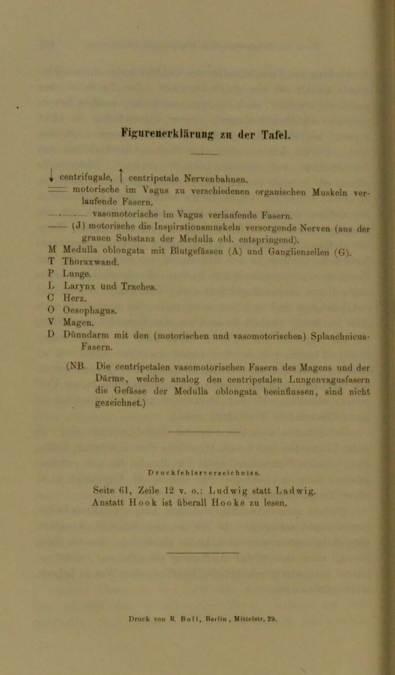 Figurenerklärung zn der Tafel. i centrifugale, | centripetale Nervenbahnen. motorische im Vagus zu verschiedenen organischen Muskeln ver- laufende Fasern. • vasomotorische im Vagus verlaufende Fasern. (J) motorische die Inspirationsmuskeln versorgende Nerven (aus der grauen Substanz der Medulla obl. entspringend). M Medulla oblongata mit Blutgefässen (A) und Ganglienzellen (G). T Thoraxwand. P Lunge. L Larynx und Trachea. C Herz. 0 Oesophagus. V Magen. D Dünndarm mit den (motorischen und vasomotorischen) Splanchnicus- Fasern. (NB. Die centripetalen vasomotorischen Fasern des Magens und der Darme, welche analog den centripetalen Lungenvagusfasern die Gefässe der Medulla oblongata beeinflussen, sind nicht gezeichnet.) Prnckfehlerverzeirhni»«. Seite 61, Zeile 12 v. o.: Ludwig statt Ladwig. Anstatt Hook ist überall Ilooke zu lesen. Druck von K. Boll, Berlin. Vittelntr. 29.