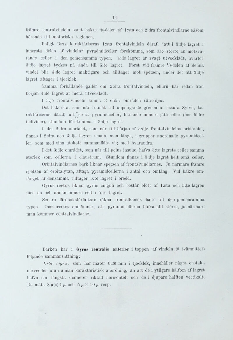 framre centralvindeln samt bakre Va-delen af l:sta och 2:dra frontalvindlarne s&som horande till motoriska regionen. Enligt Betz karaktariseras l:sta frontalvindeln daraf, “att i 3:dje lagret i innersta delen af vindeln pyradmidceller forekomma, som aro storre an motsva- rande celler i den gemensamma typen. 4:de lagret ar svagt utveckladt, hvarfor 3:dje lagret tyckes na anda till 5:te lagret. Forst vid framre V3-delen af denna vindel blir 4:de lagret maktigare och tilltager mot spetsen, under det att 3:dje lagret aftager i tjocklek. Samma fOrhallando giiller om 2:dra frontalvindeln, ehuru har redan fran borjan 4ale lagret ar rnera utveckladt. I 3:je frontalvindeln kunna 3 olika omraden sarskiljas. Det bakersta, som nar framat till uppstigande grenen af flssura Sylvii, ka- raktariseras daraf, att stora pyramidceller, liknande rnindre jatteceller (hos aldre individer), stundom forekomma i 3:dje lagret. I det 2:dra omrfidet, som nar till borjan af 3:dje frontalvindelns orbitaldel, finnas i 2:dra och 3:dje lagren smala, men langa, i grupper anordnade pyramidcel- ler, som med sina utskott sammanflata sig med hvarandra. I det 3:dje omradet, som nkr till polus insulae, liafva 5:te lagrets celler samma storlek som cellerna i claustrum. Stundom finnas i 3:dje lagret helt sma celler. Orbitalvindlarnes bark liknar spetsen af frontalvindlarnes. Ju narmare framre spetsen af orbitalytan, aftaga pyramidcellerna i antal och omfang. Yid bakre om- ffinget af densamma tilltager 5:te lagret i bredd. Gyrus rectus liknar gyrus cinguli och bestar blott af l:sta och 5:te lagren med en och annan rnindre cell i 5:te lagret. Senare laroboksforfattare rakna frontallobens bark till den gemensamma typen. Obersteiner omnamner, att pyramidcellerna blifva allt storre, ju narmare man kommer centralvindlarne. Barken har i Gyrus centralis anterior i toppen af vindeln (fi tvarsnittet) foljande sammansattning: l:sta lagret, som har mater 0,20 mm i tjocklek, innchaller nagra enstaka nervceller utan annan karaktaristisk anordning, an att de i ytligare hiilften af lagret liafva sin langsta diameter riktad horisontelt och de i djupare halften vertikalt. De mata 8 X 4 tl och 5 n X 10 g resp.