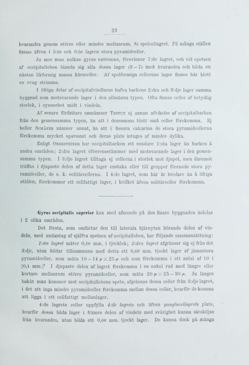 hvarandra genom storre eller mindre mellanrum, 8) spolcellagret, PA mAnga stallen finnas afven i 5:te och 6:te lagren stora pyramidceller. Ju mer man nalkas gyrus extremus, forsvinner 7:de lagret, och vid spetsen af occipitalloben blanda sig alia dessa lager (3 — 7) med hvarandra och bilda en n as tan likformig massa karnceller. Af spolformiga cellernas lager finnes bar blott en svag strimma. I ofriga delar af occipitalvindlarne hafva barkens 2:dra och 3:dje lager samma byggnad som motsvarande lager i den allmanna typen. Ofta Annas celler af betydlig storlek, i synnerhet midt i vindeln. Af senare forfattare omnanmer Testut ej annan afvikelse af occipitalbarken frAn den gemensamma typen, an att i densamma blott smA celler fhrekomma. Ej heller Schafer namner annat, an att i Assura calcarina de stora pyramidcellerna forekomma mycket sparsamt och deras plats intages af mindre dylika. Enligt Obersteixer liar occipitalbarken ett smalare l:sta lager an barken A andra omrAden; 2:dra lagret ofverensstammer med motsvarande lager i den gemen- samma typen. I 3:dje lagret tilltaga ej cellerna i storlek mot djupet, men dareinot traffas i djupaste delen af detta lager enstaka eller till grupper forenade stora py- ramidceller, de s. k. solitarcellerna. I 4:de lagret, som har ar bredare an A Ofriga stallen, forekommer ett cellfattigt lager, i hvilket afven solitarceller forekomma. Gyrus occipitalis superior kan med afseende pA den Anare byggnaden indelas i 2 olika omrAden. Det forsta, som omfattar den till laterala hjarnytan horande delen af vin- deln, med undantag af sjalfva spetsen af occipitalloben, har foljande sammansattning: l:sta lagret mater 0,10 mm. i tjocklek; 2:dra lagret afgriinsar sig ej frAn det 3:clje, utan bildar tillsammans med detta ett 0,60 mm. tjockt lager af jamnstora pyramidceller, som mata 10 — 14 (i X 25 n och som forekomma i ett antal af 10 i [0,1 mm.]* I djupaste delen af lagret forekomma i en enkel rad med langre eller kortare mellanrum storre pyramidceller, som mata 20^x 25 — 30 ^. Ju langre bakAt man komraer mot occipitallobens spets, afgransas dessa celler frAn 3:dje lagret, i det att inga mindre pyramidceller forekomma mellan dessa celler, hvarfor de komma att ligga i ett cellfattigt mellanlager. 4:de lagrets celler uppfylla 4:de lagrets och afven gangliecellagrets plats, hvarfor dessa bAda lager i framre delen af vindeln med svarighet kunna sarskiljas frAn hvarandra, utan bilda ett 0,60 mm. tjockt lager. De kunna dock pA mAnga