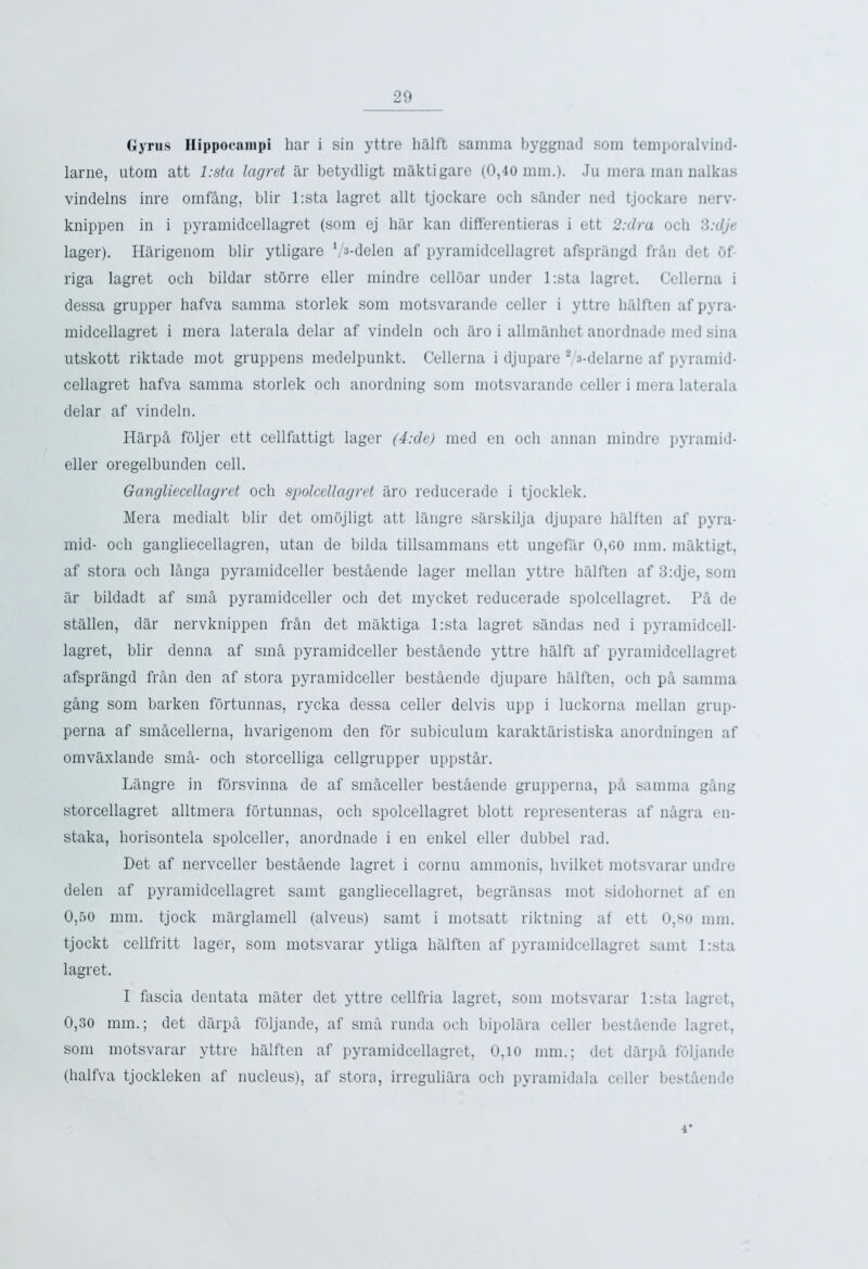 Gyrus Hippocampi har i sin yttre halft samina byggnad som temporalvind- larne, utom att l:sta lagret ar betydligt maktigare (0,40 mm.). Ju mera man nalkas vindelns inre omfing, blir l:sta lagret allt tjockare och sander ned tjockare nerv- knippen in i pyramidcellagret (som ej har kan diff'erentieras i ett 2:dra och 3:dje lager). Harigenom blir ytligare V^-delen af pyramidcellagret afspriingd frin det 5f riga lagret och bildar storre eller mindre celloar under l:sta lagret. Cellerna i dessa grupper hafva samma storlek som motsvarande celler i yttre halften af pyra- midcellagret i mera laterala delar af vindeln och iro i allmanhet anordnade med sina utskott riktade mot gruppens medelpunkt. Cellerna i djupare ' a-delarne af pyramid- cellagret hafva samma storlek och anordning som motsvarande celler i mera laterala delar af vindeln. Harpi foljer ett cellfattigt lager (4:de) med en och annan mindre pyramid- eller oregelbunden cell. Gangliecellagret och spolcellagret aro reducerade i tjocklek. Mera medialt blir det omojligt att langre sarskilja djupare halften af pyra- mid- och gangliecellagren, utan de bilda tillsammans ett ungefar 0,oo mm. maktigt, af stora och linga pyramidceller bestiende lager mellan yttre halften af 3:dje, som ar bildadt af smi pyramidceller och det mycket reducerade spolcellagret. Pi de stallen, dar nervknippen frin det maktiga l:sta lagret sandas ned i pyramidcell- lagret, blir denna af smi pyramidceller bestiende yttre halft af pyramidcellagret afsprangd frin den af stora pyramidceller bestiende djupare halften, och pa samma ging som barken fortunnas, rycka dessa celler delvis upp i luckorna mellan grup- perna af smacellerna, hvarigenom den for subiculum karaktaristiska anordningen af omvaxlande smi- och storcelliga cellgrupper uppstir. Langre in forsvinna de af smiceller bestiende grupperna, pi samma gang storcellagret alltmera fortunnas, och spolcellagret blott representeras af nigra en- staka, horisontela spolceller, anordnade i en enkel eller dubbel rad. Det af nervceller bestiende lagret i cornu ammonis, hvilket motsvarar undre delen af pyramidcellagret samt gangliecellagret, begransas mot sidohornet af en 0,50 mm. tjock marglamell (alveus) samt i motsatt riktning af ett 0,so mm. tjockt cellfritt lager, som motsvarar ytliga halften af pyramidcellagret samt l:sta lagret. I fascia dentata mater det yttre cellfria lagret, som motsvarar l:sta lagret, 0,30 mm.; det darpi foljande, af smi runda och bipolara celler bestiende lagret, som motsvarar yttre halften af pyramidcellagret, 0,io mm.; det darpi foljande (halfva tjockleken af nucleus), af stora, irreguliara och pyramidala celler bestiende 4*