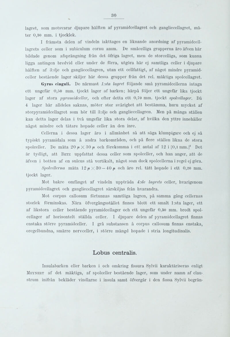 lagret, som motsvarar djupare halften af pyramidcellagret och gangliecellagret, ma- ter 0,30 mm. i tjocklek. I framsta delen af vindeln iakttages en liknande anordning af pyramidcell- lagrets celler som i subiculum cornu amm. De sm&celliga grupperna aro afven har bildade genom afsprangning fran det ofriga lagret, men de storcelliga, som kunna ligga antingen bredvid eller under de forra, utgora har ej samtliga celler i djupare halften af 3:dje och gangliecellagren, utan ett cellfattigt, af nAgot mindre pyramid- celler bestaende lager skiljer har dessa grupper fr&n det rel. maktiga spolcellagret. Gyrus cinguli. De narmast l:sta lagret foljande smA pyramidcellerna intaga ett ungefar 0,50 mm. tjockt lager af barken; harp a foljer ett ungefar lika tjockt lager af stora pyramidceller, och efter detta ett 0,70 mm. tjockt spolcellager. DA 4 lager har alldeles saknas, moter stor svarighet att bestamma, huru mycket af storpyramidcellagret som hor till 3:dje och gangliecellagren. Men pA mAnga stallen kan detta lager delas i tvA ungefar lika stora delar, af hvilka den yttre innehAller nAgot mindre och tatare hopade celler an den inre. Cellerna i dessa lager aro i allmanhet sa att saga klumpigare och ej sA typiskt pyramidala som A andra barkomrAden, och p§, here stallen likna de stora spolceller. De mata 20 ,« X 30 g och forekomma i ett antal af 12 i [0,1 mm,]3 Det ar tydligt, att Betz uppfattat dessa celler som spolceller, och han anger, att de afven i botten af en sulcus st& vertikalt, n&got som dock spolcellerna i regel ej gora. Spolcellerna mata 12 g X 30 — 40 g och aro rel. tatt hopade i ett 0,20 mm. tjockt lager. Mot bakre omfanget af vindeln upptrada 4:de lagrets celler, hvarigenom pyramidcellagret och gangliecellagret sarskiljas Mn hvarandra. Mot corpus callosum fortunnas samtliga lagren, pS, samma gdng cellernas storlek forminskas. Nara ofvergangsstallet flnnes blott ett smalt l:sta lager, ett af likstora celler best&ende pyramidcellager och ett ungefar 0,30 mm. bredt spol- cellager af horisontelt stallda celler. I djupare deleu af pyramidcellagret Annas enstaka storre pyramidceller. I gra substansen S, corpus callosum Annas enstaka, oregelbundna, smarre nervceller, i storre mangd hopade i stria longitudinalis. Lobus centralis. Insulabarken eller barken i och omkring Assura Sylvii karaktariseras enligt Meynert af det maktiga, af spolceller best&ende lager, som under naran af clau- strum inifran beklader vindlarne i insula samt ofvergar i den fossa Sylvii begran-