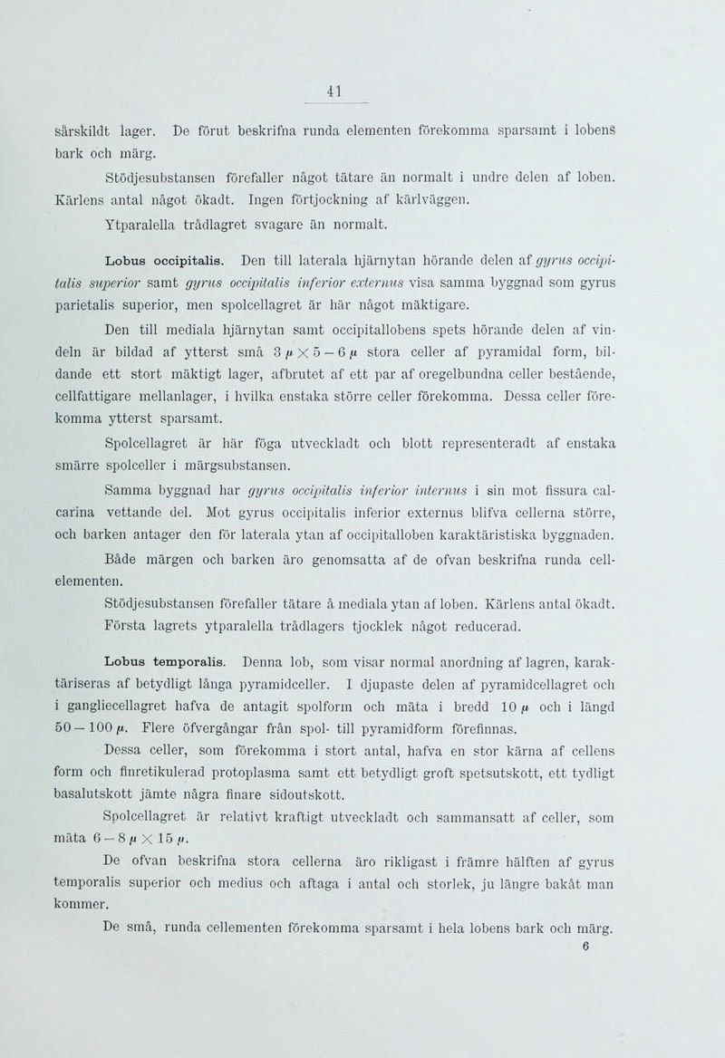 Sarskildt lager. De forut beskrifna runda elementen forekomma sparsamt i lobenS bark och marg. Stodjesubstansen forefaller nagot tatare an normalt i undre delen af loben. Karlens antal n&got okadt. Ingen fortjockning af karlviiggen. Ytparalella tradlagret svagare an normalt. Lobus occipitalis. Den till laterala hjarnytan horande delen af gyrus occipi- talis superior samt gyrus occipitalis inferior externus visa samma byggnad som gyrus parietalis superior, men spolcellagret ar bar nagot mkktigare. Den till mediala hjarnytan samt occipitallobens spets horande delen af vin- deln ar bildad af ytterst sma 3yX5 — 6y stora celler af pyramidal form, bil- dande ett stort maktigt lager, afbrutet af ett par af oregelbundna celler bestaende, cellfattigare mellanlager, i hvilka enstaka storre celler forekomma. Dessa celler fore- komma ytterst sparsamt. Spolcellagret ar har foga utveckladt och blott representeradt af enstaka smarre spolceller i margsubstansen. Samma byggnad har gyrus occipitalis inferior interims i sin mot fissura cal- carina vettande del. Mot gyrus occipitalis inferior externus blifva cellerna stbrre, och barken antager den for laterala ytan af occipitalloben karaktaristiska byggnaden. Bdde margen och barken aro genomsatta af de ofvan beskrifna runda cell- elementen. Stodjesubstansen forefaller tatare A mediala ytan af loben. Karlens antal okadt. Forsta lagrets ytparalella tradlagers tjocklek nagot reducerad. Lobus temporalis. Denna lob, som visar normal anordning af lagren, karak- tariseras af betydligt l&nga pyramidceller. I djupaste delen af pyramidcellagret och i gangliecellagret hafva de antagit spolform och mata i bredd 10^. och i liingd 50— 100^. Flere ofvergdngar fran spol- till pyramidform forefinnas. Dessa celler, som forekomma i stort antal, hafva en stor karna af cellens form och finretikulerad protoplasma samt ett betydligt groft spetsutskott, ett tydligt basalutskott jamte n5gra finare sidoutskott. Spolcellagret ar relativt kraftigt utveckladt och sammansatt af celler, som mata 6 — 8 /u X 15 y. De ofvan beskrifna stora cellerna aro rikligast i framre halften af gyrus temporalis superior och medius och aftaga i antal och storlek, ju langre baktU man kommer. De sma, runda cellementen forekomma sparsamt i hela lobens bark och marg. 6