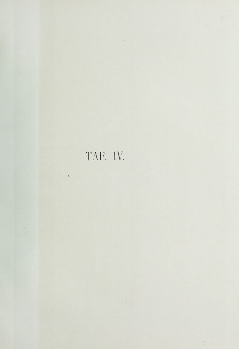 TAF. IV.