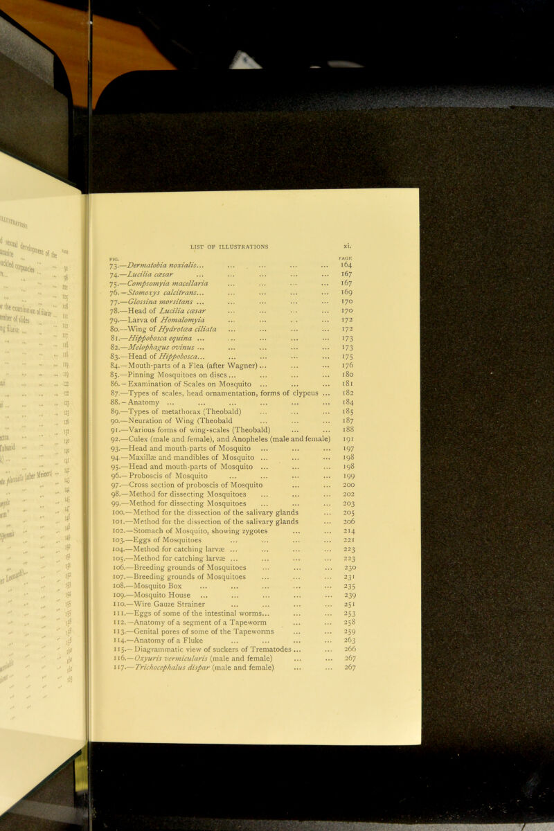 'm m LIST OF ILLUSTRATIONS FIG. 73. —Dermatobia noxialis... 74. —Lucilia ccBsar 75. —Compsomyia macellaria 76. — Stomoxys calcitrans... 77. —Glossina morsitans ... 78. —Head of Lucilia ccBsar 79. —Larva of Homalomyia 80. —Wing of Hydrotcea ciliata 81. —Hippobosca equina ... 82. —Melophagus ovinus ... 83. —Head of Hippobosca... 84. —Mouth-parts of a Flea (after Wagner).. 85. —Pinning Mosquitoes on discs 86. — Examination of Scales on Mosquito 87. —Types of scales, head ornamentation, forms of clypeus 88. —Anatomy ... 89. —Types of metathorax (Theobald) 90. —Neuration of Wing (Theobald 91. —Various forms of wing-scales (Theobald) 92. —Culex (male and female), and Anopheles (male and femal 93. —Head and mouth-parts of Mosquito 94. —Maxillae and mandibles of Mosquito ... 95. —Head and mouth-parts of Mosquito ... 96. —Proboscis of Mosquito 97. —Cross section of proboscis of Mosquito 98. —Method for dissecting Mosquitoes 99. —Method for dissecting Mosquitoes 100. — Method for the dissection of the salivary glands 101. —Method for the dissection of the salivary glands 102. —Stomach of Mosquito, showing zygotes 103. —Eggs of Mosquitoes 104. —Method for catching larvae ... 105. —Method for catching larvae ... 106. —Breeding grounds of Mosquitoes 107. —Breeding grounds of Mosquitoes 108. —Mosquito Box 109. —Mosquito House no.—Wire Gauze Strainer 111. —Eggs of some of the intestinal worms... 112. —.Anatomy of a segment of a Tapeworm 113. —Genital pores of some of the Tapeworms 114. —Anatomy of a Fluke I15-— Diagrammatic view of suckers of Trematodes I vb.—Oxyuris vermicularis (male and female) 117.— Trichocephaliis dispar (male and female) PACK 164 167 167 169 170 170 172 172 173 173 175 176 180 181 182 184 185 187 188 191 197 198 198 199 200 202 203 205 206 214 22 I 223 223 230 231 235 239 251 253 258 259 263 266 267 267 «!'annnationoffiiaris aite w'lJW