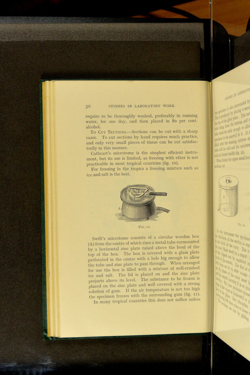\>» Si; STUDIES IN LABORATORY WORK require to be thoroughly washed, preferably in running water, for one day, and then placed in 8o per cent, alcohol. To Cut Sections.—Sections can be cut with a sharp razor. To cut sections by hand requires much practice, and only very small pieces of tissue can be cut satisfac- torily in this manner, Cathcart’s microtome is the simplest efficient instru- ment, but its use is limited, as freezing with ether is not practicable in most tropical countries (fig. lo). For freezing in the tropics a freezing mixture such as ice and salt is the best. Fig. II. Swift’s microtome consists of a circular wooden box (A) from the centre of which rises a metal tube surmounted by a horizontal zinc plate raised above the level of the top of the box. The box is covered with a glass plate perforated in the centre with a hole big enough to allow the tube and zinc plate to pass through. When arranged for use the box is filled with a mixture of well-crushed ice and salt. The lid is placed on and the zinc plate projects above its level. The substance to be frozen is placed on the zinc plate and well covered with a stiong solution of gum. If the air temperature is not too high the specimen freezes with the surrounding gum (fig. ii). In many tropical countries this does not suffice unless