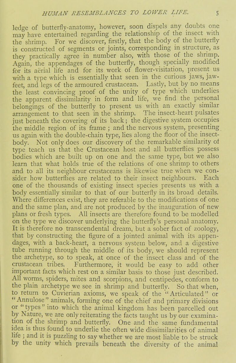 ledge of butterfly-anatomy, however, soon dispels any doubts one may have entertained regarding the relationship of the insect with the shrimp. For we discover, firstly, that the body of the butterfly is constructed of segments or joints, corresponding in structure, as they practically agree in number also, with those of the shrimp. Again, the appendages of the butterfly, though specially modified for its aerial life and for its work of flower-visitation, present us with a type which is essentially that seen in the curious jaws, jaw- feet, and legs of the armoured crustacean. Lastly, but by no means the least convincing proof of the unity of type which underlies the apparent dissimilarity in form and life, we find the personal belongings of the butterfly to present us with an exactly similar arrangement to that seen in the shrimp. The insect-heart pulsates just beneath the covering of its back; the digestive system occupies the middle region of its frame ; and the nervous system, presenting us again with the double-chain type, lies along the floor of the insect- body. Not only does our discovery of the remarkable similarity of type teach us that the Crustacean host and all butterflies possess bodies which are built up on one and the same type, but we also learn that what holds true of the relations of one shrimp to others and to all its neighbour crustaceans is likewise true when we con- sider how butterflies are related to their insect neighbours. Each one of the thousands of existing insect species presents us with a body essentially similar to that of our butterfly in its broad details. Where differences exist, they are referable to the modifications of one and the same plan, and are not produced by the inauguration of new plans or fresh types. All insects are therefore found to be modelled on the type we discover underlying the butterfly’s personal anatomy. It is therefore no transcendental dream, but a sober fact of zoology, that by constructing the figure of a jointed animal with its appen- dages, with a back-heart, a nervous system below, and a digestive tube running through the middle of its body, we should represent the archetype, so to speak, at once of the insect class and of the crustacean tribes. Furthermore, it would be easy to add other important facts which rest on a similar basis to those just described. All worms, spiders, mites and scorpions, and centipedes, conform to the plain archetype we see in shrimp and butterflv. So that when, to return to Cuvierian axioms, we speak of the “Articulated” or “ Annulose ” animals, forming one of the chief and primary divisions or “ types ” into which the animal kingdom has been parcelled out by Nature, we are only reiterating the facts taught us by our examina- tion of the shrimp and butterfly. One and the same fundamental idea is thus found to underlie the often wide dissimilarities of animal life ; and it is puzzling to say whether we are most liable to be struck by the unity which prevails beneath the diversity of the animal