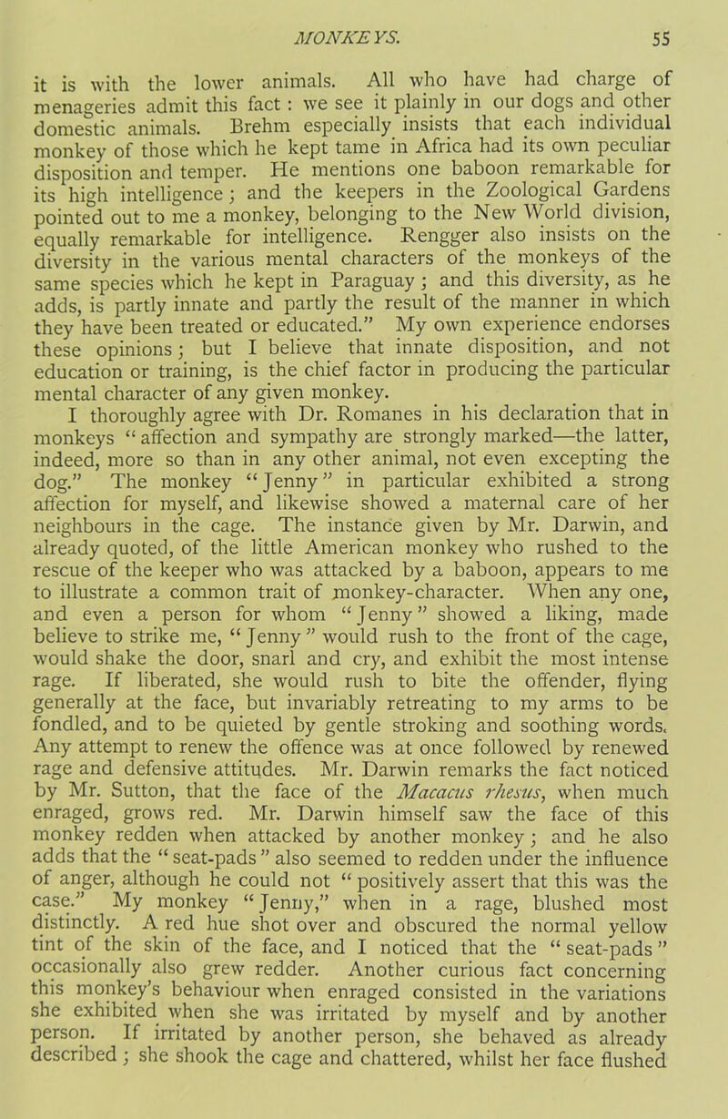 it is with the lower animals. All who have had charge of menageries admit this fact: we see it plainly in our dogs and other domestic animals. Brehm especially insists that each individual monkey of those which he kept tame in Africa had its own peculiar disposition and temper. He mentions one baboon remarkable for its high intelligence; and the keepers in the Zoological Gardens pointed out to me a monkey, belonging to the New World division, equally remarkable for intelligence. Rengger also insists on the diversity in the various mental characters of the monkeys of the same species which he kept in Paraguay ; and this diversity, as he adds, is partly innate and partly the result of the manner in which they have been treated or educated.” My own experience endorses these opinions; but I believe that innate disposition, and not education or training, is the chief factor in producing the particular mental character of any given monkey. I thoroughly agree with Dr. Romanes in his declaration that in monkeys “ affection and sympathy are strongly marked—the latter, indeed, more so than in any other animal, not even excepting the dog.” The monkey “Jenny” in particular exhibited a strong affection for myself, and likewise showed a maternal care of her neighbours in the cage. The instance given by Mr. Darwin, and already quoted, of the little American monkey who rushed to the rescue of the keeper who was attacked by a baboon, appears to me to illustrate a common trait of monkey-character. When any one, and even a person for whom “Jenny” showed a liking, made believe to strike me, “Jenny” would rush to the front of the cage, would shake the door, snarl and cry, and exhibit the most intense rage. If liberated, she would rush to bite the offender, flying generally at the face, but invariably retreating to my arms to be fondled, and to be quieted by gentle stroking and soothing words. Any attempt to renew the offence was at once followed by renewed rage and defensive attitudes. Mr. Darwin remarks the fact noticed by Mr. Sutton, that the face of the Macacus rhesus, when much enraged, grows red. Mr. Darwin himself saw the face of this monkey redden when attacked by another monkey; and he also adds that the “ seat-pads ” also seemed to redden under the influence of anger, although he could not “ positively assert that this was the case.” My monkey “Jenny,” when in a rage, blushed most distinctly. A red hue shot over and obscured the normal yellow tint of the skin of the face, and I noticed that the “ seat-pads ” occasionally also grew redder. Another curious fact concerning this monkey’s behaviour when enraged consisted in the variations she exhibited when she was irritated by myself and by another person. If irritated by another person, she behaved as already described; she shook the cage and chattered, whilst her face flushed