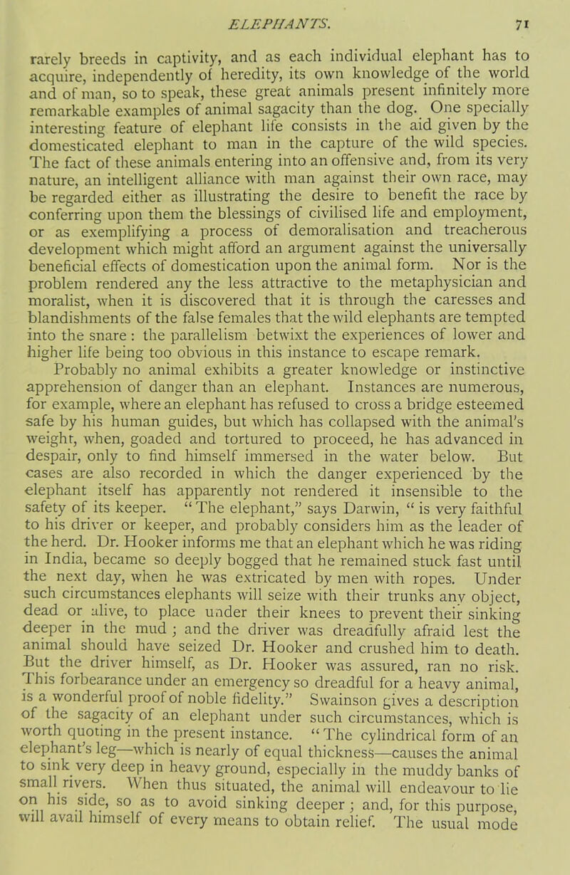 rarely breeds in captivity, and as each individual elephant has to acquire, independently of heredity, its own knowledge of the world and of man, so to speak, these great animals present infinitely more remarkable examples of animal sagacity than the dog. One specially interesting feature of elephant life consists in the aid given by the domesticated elephant to man in the capture of the wild species. The fact of these animals entering into an offensive and, from its very nature, an intelligent alliance with man against their own race, may be regarded either as illustrating the desire to benefit the race by conferring upon them the blessings of civilised life and employment, or as exemplifying a process of demoralisation and treacherous development which might afford an argument against the universally beneficial effects of domestication upon the animal form. Nor is the problem rendered any the less attractive to the metaphysician and moralist, when it is discovered that it is through the caresses and blandishments of the false females that the wild elephants are tempted into the snare : the parallelism betwixt the experiences of lower and higher life being too obvious in this instance to escape remark. Probably no animal exhibits a greater knowledge or instinctive apprehension of danger than an elephant. Instances are numerous, for example, where an elephant has refused to cross a bridge esteemed safe by his human guides, but which has collapsed with the animal's weight, when, goaded and tortured to proceed, he has advanced in despair, only to find himself immersed in the water below. But cases are also recorded in which the danger experienced by the elephant itself has apparently not rendered it insensible to the safety of its keeper. “ The elephant,” says Darwin, “ is very faithful to his driver or keeper, and probably considers him as the leader of the herd. Dr. Hooker informs me that an elephant which he was riding in India, became so deeply bogged that he remained stuck fast until, the next day, when he was extricated by men with ropes. Under such circumstances elephants will seize with their trunks any object, dead or alive, to place under their knees to prevent their sinking deeper in the mud ; and the driver was dreadfully afraid lest the animal should have seized Dr. Hooker and crushed him to death. But the driver himself, as Dr. Hooker was assured, ran no risk. I his forbearance under an emergency so dreadful for a heavy animal, is a wonderful proof of noble fidelity.” Swainson gives a description of the sagacity of an elephant under such circumstances, which is worth quoting in the present instance. “The cylindrical form of an elephant's leg—which is nearly of equal thickness—causes the animal to sink very deep in heavy ground, especially in the muddy banks of small rivers. When thus situated, the animal will endeavour to lie on Ins side, so as to avoid sinking deeper; and, for this purpose, will avail himself of every means to obtain relief. The usual mode