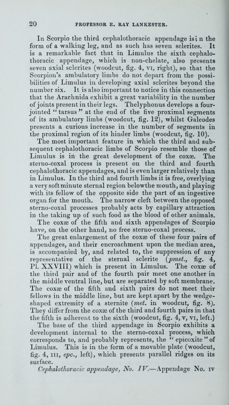 In Scorpio the third cephalothoracic appendage is I n the form of a walking leg, and as such has seven sclerites. It is a remarkable fact that in Limulus the sixth cephalo- thoracic appendage, which is non-chelate, also presents seven axial sclerites (woodcut, fig. 4, vi, right), so that the Scorpion’s ambulatory limbs do not depart from the possi- bilities of Limulus in developing axial sclerites beyond the number six. It is also important to notice in this connection that the Arachnida exhibit a great variability in the number of joints present in their legs. Thelyphonus develops a four- jointed tarsus ” at the end of the five proximal segments of its ambulatory limbs (woodcut, fig. 12), whilst Galeodes presents a curious increase in the number of segments in the proximal region of its hinder limbs (woodcut, fig. 10). The most important feature in which the third and sub- sequent cephalothoracic limbs of Scorpio resemble those of Limulus is iri the great development of the coxae. The sterno-coxal process is present on the third and fourth cephalothoracic appendages, and is even larger relatively than in Limulus. In the third and fourth limbs it is free, overlying a very softminute sternal region belowthe mouth, and playing with its fellow of the opposite side the part of an ingestive organ for the mouth. The narrow cleft between the opposed sterno-coxal processes probably acts by capillary attraction in the taking up of such food as the blood of other animals. The coxae of the fifth and sixth appendages of Scorpio have, on the other hand, no free sterno-coxal process. The great enlargement of the coxae of these four pairs of appendages, and their encroachment upon the median area, is accompanied by, and related to, the suppression of any representative of the sternal sclerite [pmst.^ fig. 4, PI. XXVIII) which is present in Limulus. The coxae of the third pair and of the fourth pair meet one another in the middle ventral line, but are separated by soft membrane. The coxae of the fifth and sixth pairs do not meet their fellows in the middle line, but are kept apart by the wedge- shaped extremity of a sternite {inet, in woodcut, fig. 8). They differ from the coxae of the third and fourth pairs in that the fifth is adherent to the sixth (woodcut, fig. 4, v, vi, left.) The base of the third appendage in Scorpio exhibits a development internal to the sterno-coxal process, which corresponds to, and probably represents, the epicoxite ” of Limulus. This is in the form of a movable plate (woodcut, fig. 4, III, epc., left), which presents parallel ridges on its surface. Cephalothoracic appendage^ No. IV.—Appendage No. iv