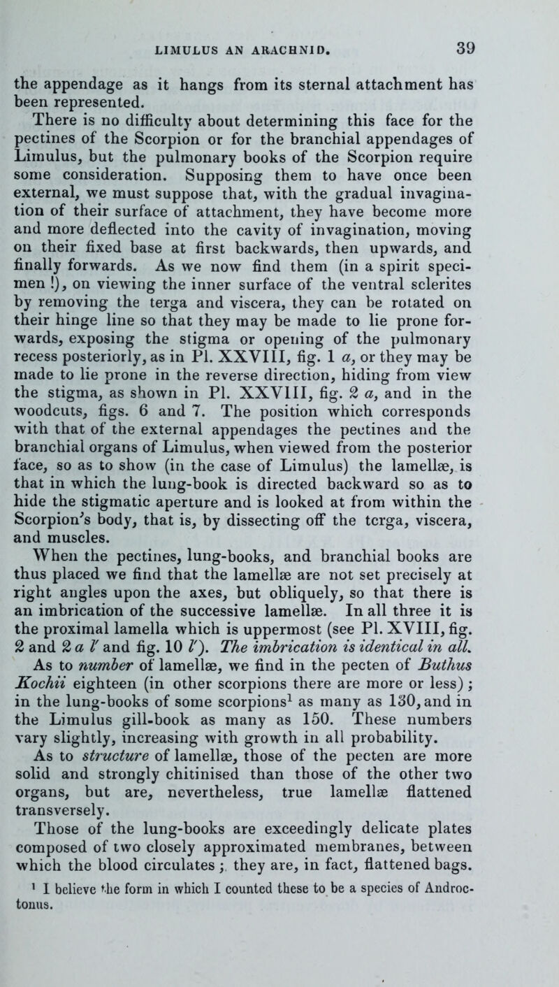 the appendage as it hangs from its sternal attachment has been represented. There is no difficulty about determining this face for the pectines of the Scorpion or for the branchial appendages of Limulus, but the pulmonary books of the Scorpion require some consideration. Supposing them to have once been external, we must suppose that, with the gradual invagina- tion of their surface of attachment, they have become more and more deflected into the cavity of invagination, moving on their fixed base at first backwards, then upwards, and finally forwards. As we now find them (in a spirit speci- men !), on viewing the inner surface of the ventral sclerites by removing the terga and viscera, they can be rotated on their hinge line so that they may be made to lie prone for- wards, exposing the stigma or opening of the pulmonary recess posteriorly, as in PI. XXVIII, fig. 1 a, or they may be made to lie prone in the reverse direction, hiding from view the stigma, as shown in PI. XXVIII, fig. 2 a, and in the woodcuts, figs. 6 and 7. The position which corresponds with that of the external appendages the pectines and the branchial organs of Limulus, when viewed from the posterior face, so as to show (in the case of Limulus) the lamellae, is that in which the lung-book is directed backward so as to hide the stigmatic aperture and is looked at from within the Scorpion^s body, that is, by dissecting off the terga, viscera, and muscles. When the pectines, lung-books, and branchial books are thus placed we find that the lamellae are not set precisely at right angles upon the axes, but obliquely, so that there is an imbrication of the successive lamellae. In all three it is the proximal lamella which is uppermost (see PI. XVIII, fig. % and %al' and fig. 10 V), The imbrication is identical in alL As to number of lamellae, we find in the pecten of Buthus Kochii eighteen (in other scorpions there are more or less); in the lung-books of some scorpions^ as many as 130, and in the Limulus gill-book as many as 150. These numbers vary slightly, increasing with growth in all probability. As to structure of lamellae, those of the pecten are more solid and strongly chitinised than those of the other two organs, but are, nevertheless, true lamellae flattened transversely. Those of the lung-books are exceedingly delicate plates composed of two closely approximated membranes, between which the blood circulates they are, in fact, flattened bags. ^ I believe ^he form in which I counted these to be a species of Androc- tonus.