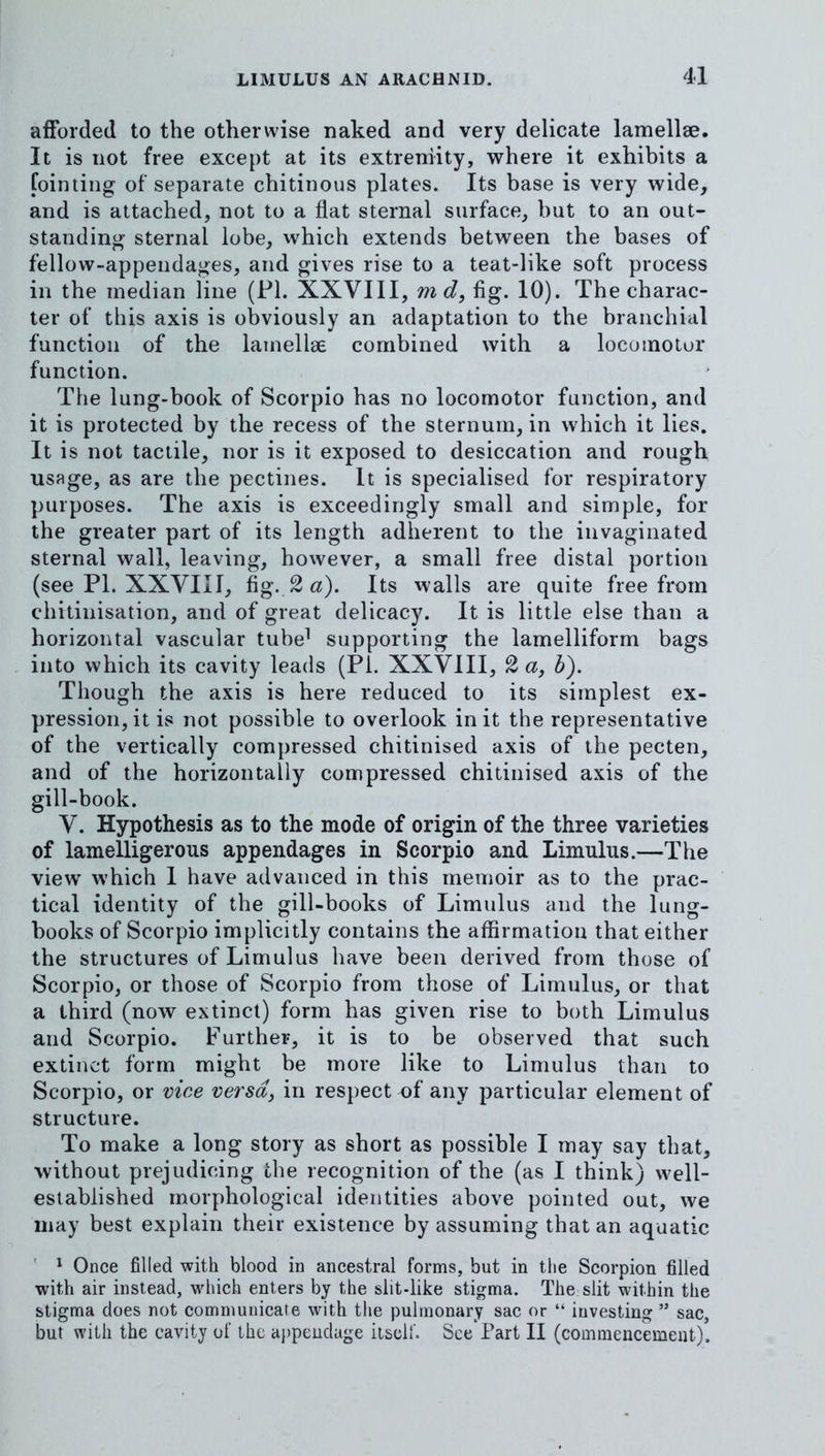 afforded to the otherwise naked and very delicate lamellae. It is not free except at its extremity, where it exhibits a fointiiig of separate chitinous plates. Its base is very wide, and is attached, not to a flat sternal surface, but to an out- standing sternal lobe, which extends between the bases of fellow-appendages, and gives rise to a teat-like soft process in the median line (PL XXVIII, md, fig. 10). The charac- ter of this axis is obviously an adaptation to the branchial function of the lamellae combined with a locomotor function. The lung-book of Scorpio has no locomotor function, and it is protected by the recess of the sternum, in which it lies. It is not tactile, nor is it exposed to desiccation and rough usage, as are the pectines. It is specialised for respiratory purposes. The axis is exceedingly small and simple, for the greater part of its length adherent to the invaginated sternal wall, leaving, however, a small free distal portion (see PI. XXVIII, fig. 2 aj). Its walls are quite free from chitinisation, and of great delicacy. It is little else than a horizontal vascular tube^ supporting the lamelliform bags into which its cavity leads (Pi. XXVIII, S a, h). Though the axis is here reduced to its simplest ex- pression, it is not possible to overlook in it the representative of the vertically compressed chitinised axis of the pecten, and of the horizontally compressed chitinised axis of the gill-book. V. Hypothesis as to the mode of origin of the three varieties of lamelligerous appendages in Scorpio and Limulus.—The view which I have advanced in this memoir as to the prac- tical identity of the gill-books of Limulus and the lung- books of Scorpio implicitly contains the affirmation that either the structures of Limulus have been derived from those of Scorpio, or those of Scorpio from those of Limulus, or that a third (now extinct) form has given rise to both Limulus and Scorpio. Further, it is to be observed that such extinct form might be more like to Limulus than to Scorpio, or vice versa, in respect of any particular element of structure. To make a long story as short as possible I may say that, without prejudicing the recognition of the (as I think) well- established morphological identities above pointed out, we may best explain their existence by assuming that an aquatic ' ^ Once filled with blood in ancestral forms, but in tlie Scorpion filled with air instead, which enters by the slit-like stigma. The slit within the stigma does not communicate with the pulmonary sac or “ investing ” sac, but with the cavity of the appendage itself. See Part II (commencement).