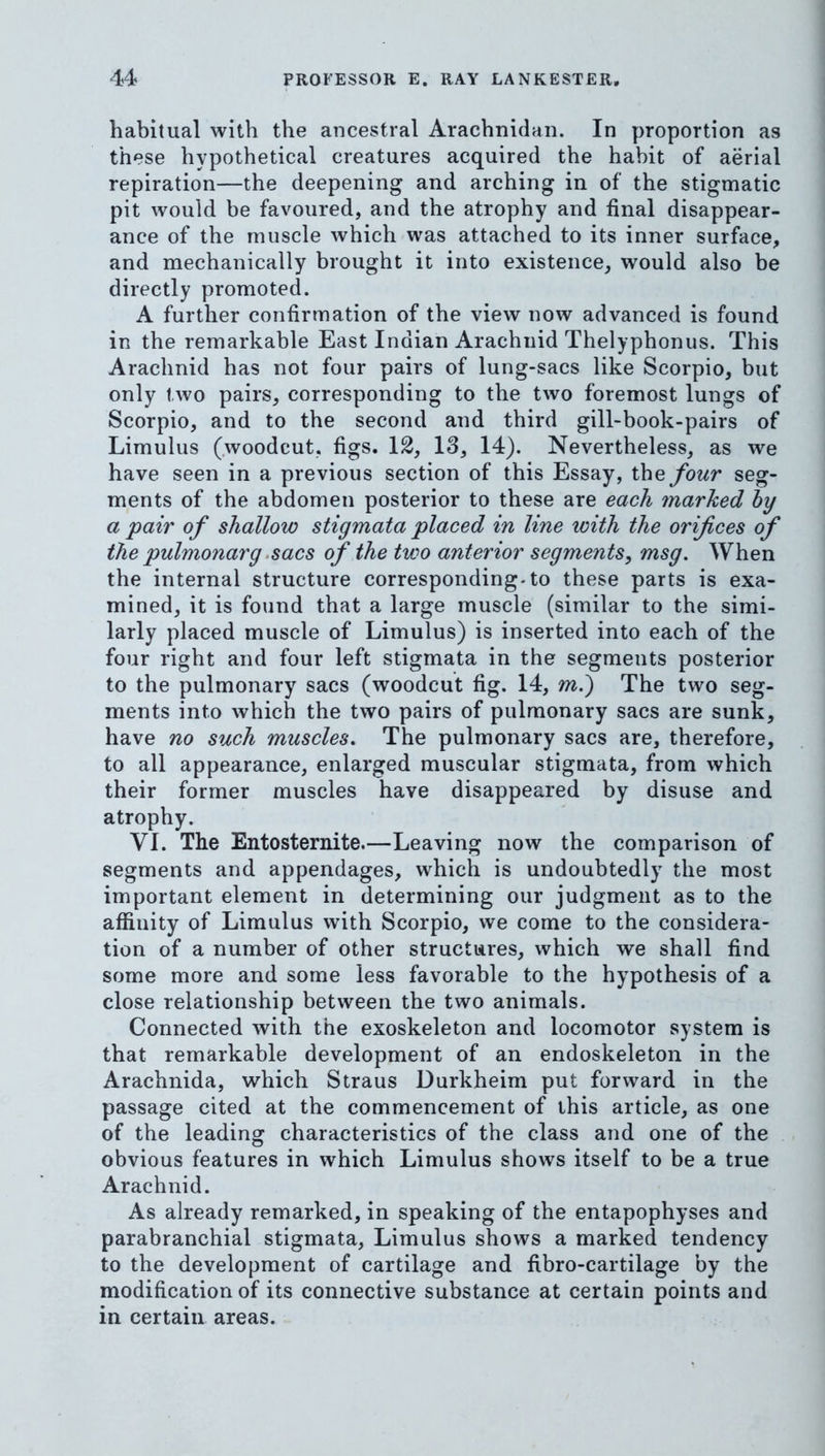 habitual with the ancestral Arachnidan. In proportion as these hypothetical creatures acquired the habit of aerial repiration—the deepening and arching in of the stigmatic pit would be favoured, and the atrophy and final disappear- ance of the muscle which was attached to its inner surface, and mechanically brought it into existence, would also be directly promoted. A further confirmation of the view now advanced is found in the remarkable East Indian Arachnid Thelyphonus. This Arachnid has not four pairs of lung-sacs like Scorpio, but only two pairs, corresponding to the two foremost lungs of Scorpio, and to the second and third gill-book-pairs of Limulus (.woodcut, figs. 12, 13, 14). Nevertheless, as we have seen in a previous section of this Essay, the four seg- ments of the abdomen posterior to these are each 7narked by a pair of shallow stigmata placed in line with the orifices of the pulmonarg>sacs of the two anterior segments, msg. When the internal structure corresponding-to these parts is exa- mined, it is found that a large muscle (similar to the simi- larly placed muscle of Limulus) is inserted into each of the four right and four left stigmata in the segments posterior to the pulmonary sacs (woodcut fig. 14, m.) The two seg- ments into which the two pairs of pulmonary sacs are sunk, have no such muscles. The pulmonary sacs are, therefore, to all appearance, enlarged muscular stigmata, from which their former muscles have disappeared by disuse and atrophy. VI. The Entosternite.—Leaving now the comparison of segments and appendages, which is undoubtedly the most important element in determining our judgment as to the affinity of Limulus with Scorpio, we come to the considera- tion of a number of other structures, which we shall find some more and some less favorable to the hypothesis of a close relationship between the two animals. Connected with the exoskeleton and locomotor system is that remarkable development of an endoskeleton in the Arachnida, which Straus Durkheim put forward in the passage cited at the commencement of this article, as one of the leading characteristics of the class and one of the obvious features in which Limulus shows itself to be a true Arachnid. As already remarked, in speaking of the entapophyses and parabranchial stigmata, Limulus shows a marked tendency to the development of cartilage and flbro-cartilage by the modification of its connective substance at certain points and in certain areas.