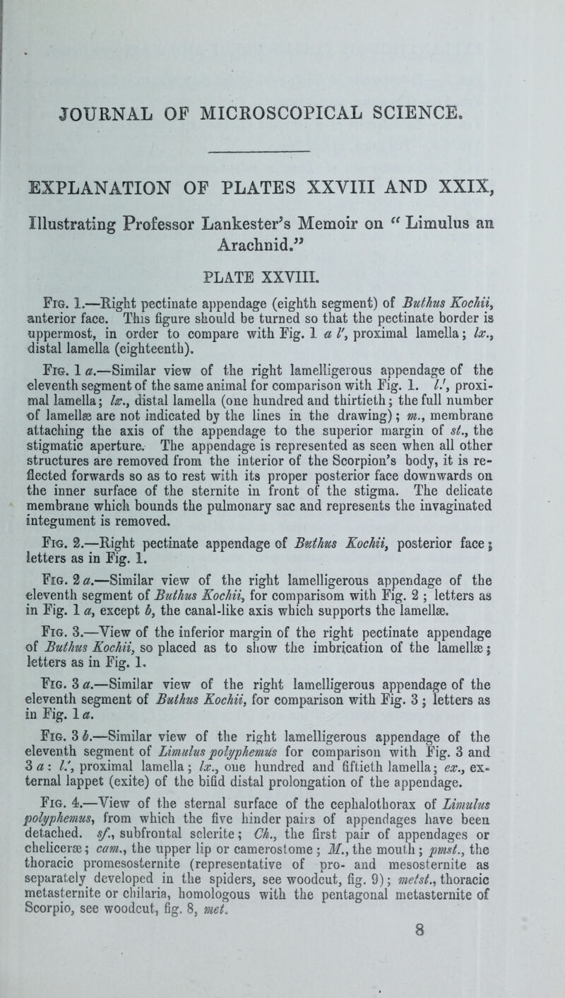 JOURNAL OF MICROSCOPICAL SCIENCE. EXPLANATION OF PLATES XXVIII AND XXIX, Illustrating Professor Lankester^s Memoir on Limulus an Araclinid.^^ PLATE XXVIII. Fig. 1.—Right pectinate appendage (eighth segment) of Buthm Kochii, anterior face. This figure should be turned so that the pectinate border is uppermost, in order to compare with Fig. 1 u l\ proximal lamella; lx., distal lamella (eighteenth). Fro. 1 a.—Similar view of the right lamelligerous appendage of the eleventh segment of the same animal for comparison with Fig. 1. IJ, proxi- mal lamella; lx., distal lamella (one hundred and thirtieth; the full number of lamellae are not indicated by the lines in the drawing); m., membrane attaching the axis of the appendage to the superior margin of si., the stigmatic aperture. The appendage is represented as seen when all other structures are removed from the interior of the Scorpion’s body, it is re- flected forwards so as to rest with its proper posterior face downwards on the inner surface of the sternite in front of the stigma. The delicate membrane which bounds the pulmonary sac and represents the invaginated integument is removed. Fro. 2.—Right pectinate appendage of Buthus Kochii, posterior face; letters as in Fig. 1. Fig. 2 a.—Similar view of the right lamelligerous appendage of the eleventh segment of Buthus Kochii, for comparisom with Fig. 2 ; letters as in Fig. 1 a, except b, the canal-like axis which supports the lamellse. Fig. 3.—View of the inferior margin of the right pectinate appendage of Buthus Kochii, so placed as to show the imbrication of the lamellse; letters as in Fig. 1. Fig. 3 a.—Similar view of the right lamelligerous appendage of the eleventh segment of Buthus Kochii, for comparison with Fig. 3; letters as in Fig. 1 a. Fig. 3 b.—Similar view of the right lamelligerous appendage of the eleventh segment of Limulus polyphemus for comparison with Fig. 3 and 2>ax proximal lamella; /.-r., one hundred and fiftieth lamella; ex- ternal lappet (exite) of the bifid distal prolongation of the appendage. Fig. 4.—View of the sternal surface of the cephalothorax of Limulus polyphemus, from which the five hinder pairs of appendages have been detached, s/., subfrontal sclerite; Ch., the first pair of appendages or chelicerse; cam., the upper lip or camerostome ; M., the mouth ; pmst., the thoracic promesosternite (representative of pro- and mesosternite as separately developed in the spiders, see woodcut, fig. 9); metst., thoracic metasternite or chilaria, homologous with the pentagonal metasternite of Scorpio, see woodcut, fig. 8, met. 8