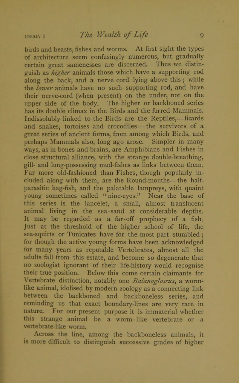 birds and beasts, fishes and worms. At first sight the types of architecture seem confusingly numerous, but gradually certain great samenesses are discerned. Thus we distin- guish as higher animals those which have a supporting rod along the back, and a nerve cord lying above this ; while the lower animals have no such supporting rod, and have their nerve-cord (when present) on the under, not on the upper side of the body. The higher or backboned series has its double climax in the Birds and the furred Mammals. Indissolubly linked to the Birds are the Reptiles,—lizards and snakes, tortoises and crocodiles—the survivors of a great series of ancient forms, from among which Birds, and perhaps Mammals also, long ago arose. Simpler in many ways, as in bones and brains, are Amphibians and Fishes in close structural alliance, with the strange double-breathing, gill- and lung-possessing mud-fishes as links between them. Far more old-fashioned than Fishes, though popularly in- cluded along with them, are the Round-mouths—the half- parasitic hag-fish, and the palatable lampreys, with quaint young sometimes called “nine-eyes.” Near the base of this series is the lancelet, a small, almost translucent animal living in the sea-sand at considerable depths. It may be regarded as a far-off prophecy of a fish. Just at the threshold of the higher school of life, the sea-squirts or Tunicates have for the most part stumbled ; for though the active young forms have been acknowledged for many years as reputable Vertebrates, almost all the adults fall from this estate, and become so degenerate that no zoologist ignorant of their life-history would recognise their true position. Below this come certain claimants for Vertebrate distinction, notably one Balanoglossus, a worm- like animal, idolised by modern zoology as a connecting link between the backboned and backboneless series, and reminding us that exact boundary-lines are very rare in nature. For our present purpose it is immaterial whether this strange animal be a worm-like vertebrate or a vertebrate-like worm. Across the line, among the backboneless animals, it is more difficult to distinguish successive grades of higher