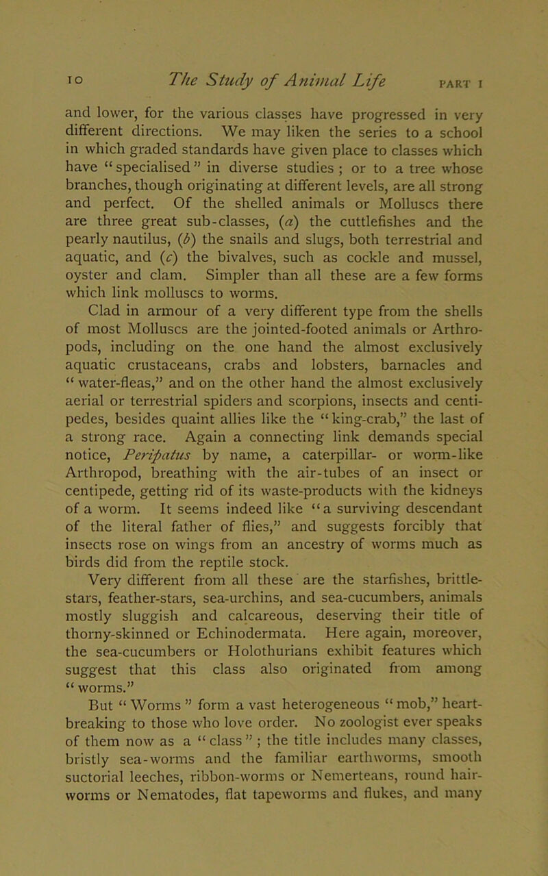 and lower, for the various classes have progressed in very different directions. We may liken the series to a school in which graded standards have given place to classes which have “ specialised ” in diverse studies ; or to a tree whose branches, though originating at different levels, are all strong and perfect. Of the shelled animals or Molluscs there are three great sub-classes, (a) the cuttlefishes and the pearly nautilus, (b) the snails and slugs, both terrestrial and aquatic, and (c) the bivalves, such as cockle and mussel, oyster and clam. Simpler than all these are a few forms which link molluscs to worms. Clad in armour of a very different type from the shells of most Molluscs are the jointed-footed animals or Arthro- pods, including on the one hand the almost exclusively aquatic crustaceans, crabs and lobsters, barnacles and “ water-fleas,” and on the other hand the almost exclusively aerial or terrestrial spiders and scorpions, insects and centi- pedes, besides quaint allies like the “king-crab,” the last of a strong race. Again a connecting link demands special notice, Peripatus by name, a caterpillar- or worm-like Arthropod, breathing with the air-tubes of an insect or centipede, getting rid of its waste-products with the kidneys of a worm. It seems indeed like “a surviving descendant of the literal father of flies,” and suggests forcibly that insects rose on wings from an ancestry of worms much as birds did from the reptile stock. Very different from all these are the starfishes, brittle- stars, feather-stars, sea-urchins, and sea-cucumbers, animals mostly sluggish and calcareous, deserving their title of thorny-skinned or Echinodermata. Here again, moreover, the sea-cucumbers or Holothurians exhibit features which suggest that this class also originated from among “ worms.” But “ Worms ” form a vast heterogeneous “ mob,” heart- breaking to those who love order. No zoologist ever speaks of them now as a “ class ” ; the title includes many classes, bristly sea-worms and the familiar earthworms, smooth suctorial leeches, ribbon-worms or Nemerteans, round hair- worms or Nematodes, flat tapeworms and flukes, and many