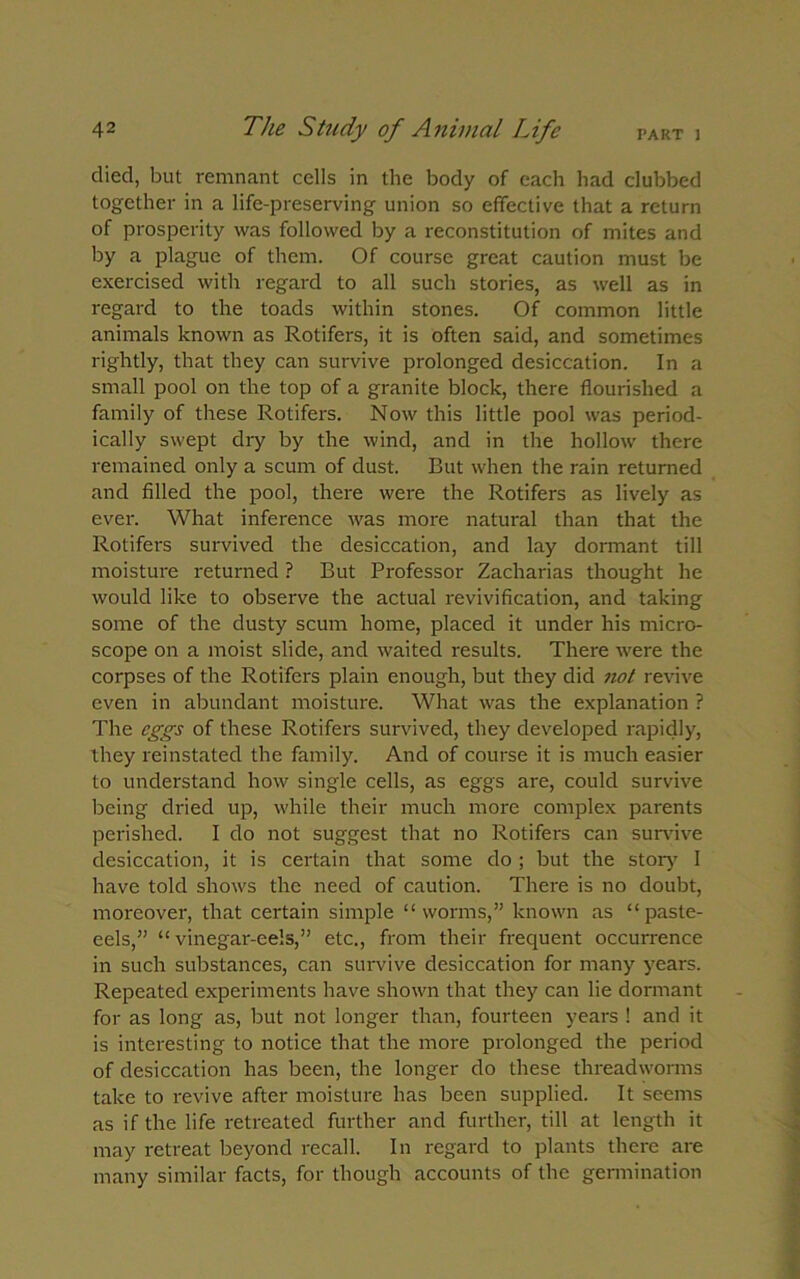 died, but remnant cells in the body of each had clubbed together in a life-preserving union so effective that a return of prosperity was followed by a reconstitution of mites and by a plague of them. Of course great caution must be exercised with regard to all such stories, as well as in regard to the toads within stones. Of common little animals known as Rotifers, it is often said, and sometimes rightly, that they can survive prolonged desiccation. In a small pool on the top of a granite block, there flourished a family of these Rotifers. Now this little pool was period- ically swept dry by the wind, and in the hollow there remained only a scum of dust. But when the rain returned and filled the pool, there were the Rotifers as lively as ever. What inference was more natural than that the Rotifers survived the desiccation, and lay dormant till moisture returned ? But Professor Zacharias thought he would like to observe the actual revivification, and taking some of the dusty scum home, placed it under his micro- scope on a moist slide, and waited results. There were the corpses of the Rotifers plain enough, but they did not revive even in abundant moisture. What was the explanation ? The eggs of these Rotifers survived, they developed rapidly, they reinstated the family. And of course it is much easier to understand how single cells, as eggs are, could survive being dried up, while their much more complex parents perished. I do not suggest that no Rotifers can survive desiccation, it is certain that some do ; but the story I have told shows the need of caution. There is no doubt, moreover, that certain simple “worms,” known as “paste- eels,” “ vinegar-eels,” etc., from their frequent occurrence in such substances, can survive desiccation for many years. Repeated experiments have shown that they can lie dormant for as long as, but not longer than, fourteen years ! and it is interesting to notice that the more prolonged the period of desiccation has been, the longer do these threadworms take to revive after moisture has been supplied. It seems as if the life retreated further and further, till at length it may retreat beyond recall. In regard to plants there are many similar facts, for though accounts of the germination