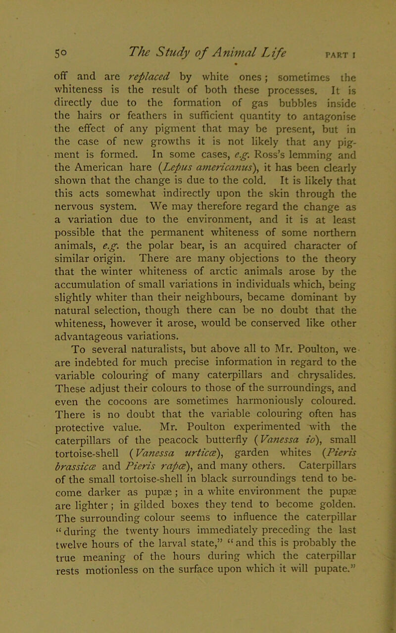 off and are replaced by white ones; sometimes the whiteness is the result of both these processes. It is directly due to the formation of gas bubbles inside the hairs or feathers in sufficient quantity to antagonise the effect of any pigment that may be present, but in the case of new growths it is not likely that any pig- ment is formed. In some cases, e.g. Ross’s lemming and the American hare (.Lepus americamis), it has been clearly shown that the change is due to the cold. It is likely that this acts somewhat indirectly upon the skin through the nervous system. We may therefore regard the change as a variation due to the environment, and it is at least possible that the permanent whiteness of some northern animals, eg. the polar bear, is an acquired character of similar origin. There are many objections to the theory that the winter whiteness of arctic animals arose by the accumulation of small variations in individuals which, being slightly whiter than their neighbours, became dominant by natural selection, though there can be no doubt that the whiteness, however it arose, would be conserved like other advantageous variations. To several naturalists, but above all to Mr. Poulton, we are indebted for much precise information in regard to the variable colouring of many caterpillars and chrysalides. These adjust their colours to those of the surroundings, and even the cocoons are sometimes harmoniously coloured. There is no doubt that the variable colouring often has protective value. Mr. Poulton experimented with the caterpillars of the peacock butterfly (Vanessa io), small tortoise-shell (Vanessa urticce), garden whites {Pieris bras sic a and Pieris rapes), and many others. Caterpillars of the small tortoise-shell in black surroundings tend to be- come darker as pupae ; in a white environment the pupae are lighter; in gilded boxes they tend to become golden. The surrounding colour seems to influence the caterpillar “ during the twenty hours immediately preceding the last twelve hours of the larval state,” “ and this is probably the true meaning of the hours during which the caterpillar rests motionless on the surface upon which it will pupate.”