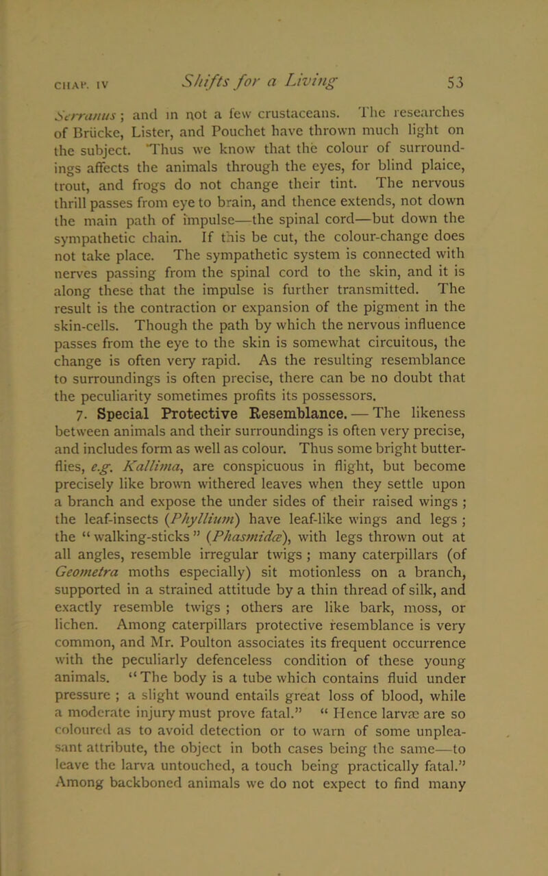 Serranus; and in not a few crustaceans. The researches of Briicke, Lister, and Pouchet have thrown much light on the subject. Thus we know that the colour of surround- ings affects the animals through the eyes, for blind plaice, trout, and frogs do not change their tint. The nervous thrill passes from eye to brain, and thence extends, not down the main path of impulse—the spinal cord—but down the sympathetic chain. If this be cut, the colour-change does not take place. The sympathetic system is connected with nerves passing from the spinal cord to the skin, and it is along these that the impulse is further transmitted. The result is the contraction or expansion of the pigment in the skin-cells. Though the path by which the nervous influence passes from the eye to the skin is somewhat circuitous, the change is often very rapid. As the resulting resemblance to surroundings is often precise, there can be no doubt that the peculiarity sometimes profits its possessors. 7. Special Protective Kesemblance. — The likeness between animals and their surroundings is often very precise, and includes form as well as colour. Thus some bright butter- flies, e.g. Kallima, are conspicuous in flight, but become precisely like brown withered leaves when they settle upon a branch and expose the under sides of their raised wings ; the leaf-insects (PhyIlium) have leaf-like wings and legs ; the “ walking-sticks ” (.Phasmidce), with legs thrown out at all angles, resemble irregular twigs ; many caterpillars (of Geometra moths especially) sit motionless on a branch, supported in a strained attitude by a thin thread of silk, and exactly resemble twigs ; others are like bark, moss, or lichen. Among caterpillars protective resemblance is very common, and Mr. Poulton associates its frequent occurrence with the peculiarly defenceless condition of these young animals. “ The body is a tube which contains fluid under pressure ; a slight wound entails great loss of blood, while a moderate injury must prove fatal.” “ Hence larvae are so coloured as to avoid detection or to warn of some unplea- sant attribute, the object in both cases being the same—to leave the larva untouched, a touch being practically fatal.” Among backboned animals we do not expect to find many