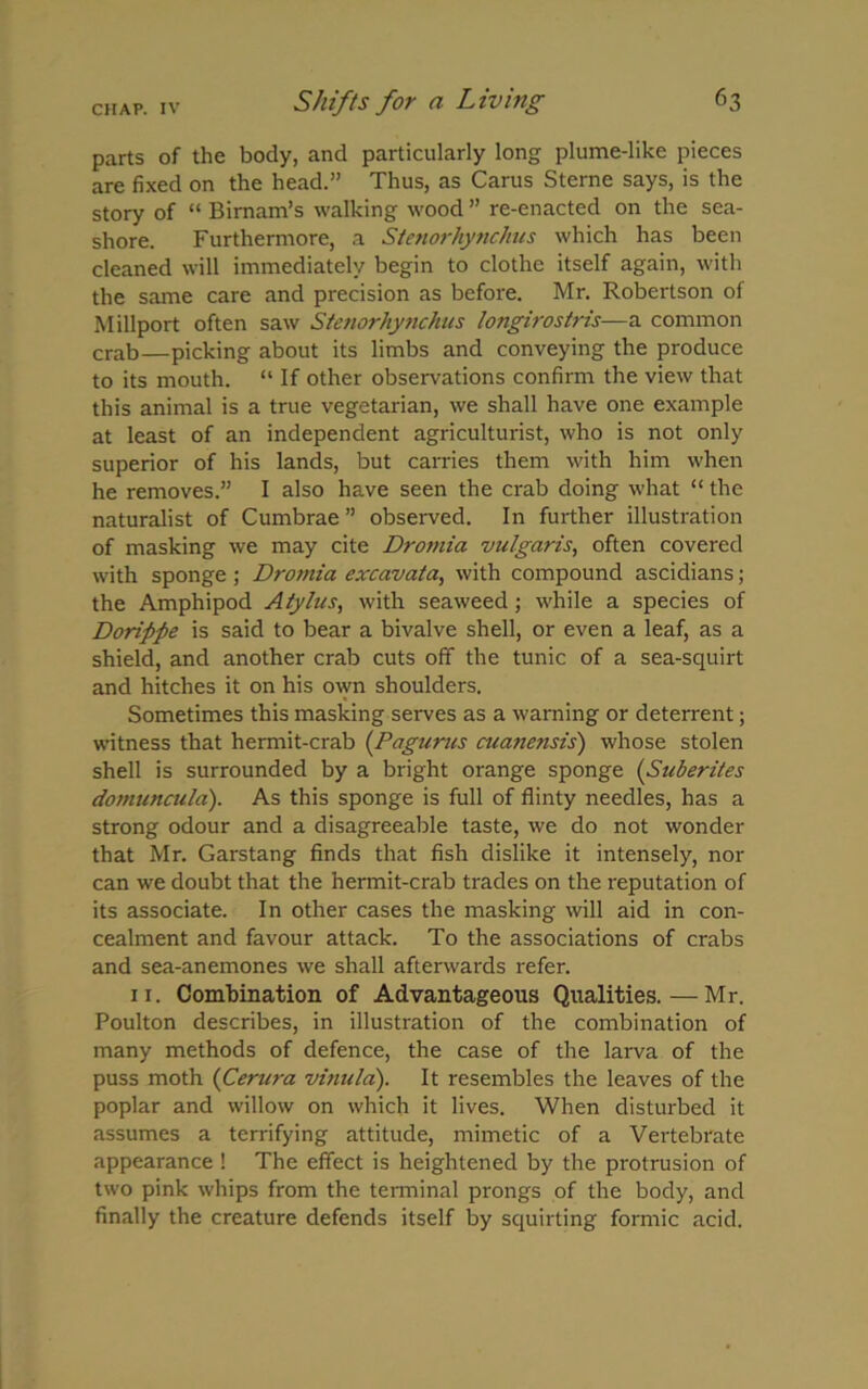 parts of the body, and particularly long plume-like pieces are fixed on the head.” Thus, as Carus Sterne says, is the story of “ Bimam’s walking wood ” re-enacted on the sea- shore. Furthermore, a Stenorhynchus which has been cleaned will immediately begin to clothe itself again, with the same care and precision as before. Mr. Robertson of Millport often saw Stenorhynchus longirostris—a common crab—picking about its limbs and conveying the produce to its mouth. “ If other observations confirm the view that this animal is a true vegetarian, we shall have one example at least of an independent agriculturist, who is not only superior of his lands, but carries them with him when he removes.” I also have seen the crab doing what “ the naturalist of Cumbrae ” observed. In further illustration of masking we may cite Dromia vulgaris, often covered with sponge ; Dromia excavata, with compound ascidians; the Amphipod Atylus, with seaweed; while a species of Dorippe is said to bear a bivalve shell, or even a leaf, as a shield, and another crab cuts off the tunic of a sea-squirt and hitches it on his own shoulders. Sometimes this masking serves as a warning or deterrent; witness that hermit-crab (Pagurus cuanejisis') whose stolen shell is surrounded by a bright orange sponge (Suberites domuncula). As this sponge is full of flinty needles, has a strong odour and a disagreeable taste, we do not wonder that Mr. Garstang finds that fish dislike it intensely, nor can we doubt that the hermit-crab trades on the reputation of its associate. In other cases the masking will aid in con- cealment and favour attack. To the associations of crabs and sea-anemones we shall afterwards refer. 11. Combination of Advantageous Qualities.—Mr. Poulton describes, in illustration of the combination of many methods of defence, the case of the larva of the puss moth (Centra vinula). It resembles the leaves of the poplar and willow on which it lives. When disturbed it assumes a terrifying attitude, mimetic of a Vertebrate appearance ! The effect is heightened by the protrusion of two pink whips from the terminal prongs of the body, and finally the creature defends itself by squirting formic acid.