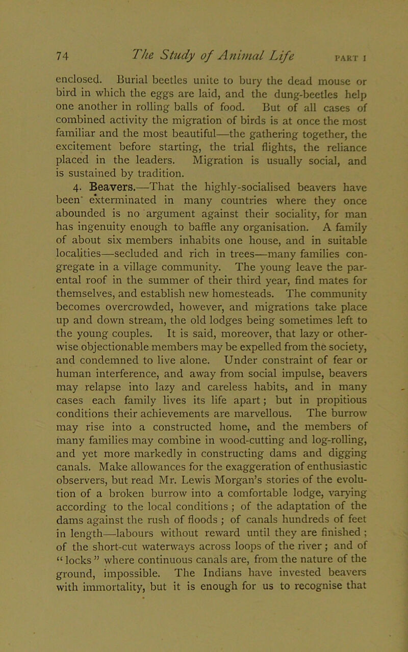 enclosed. Burial beetles unite to bury the dead mouse or bird in which the eggs are laid, and the dung-beetles help one another in rolling balls of food. But of all cases of combined activity the migration of birds is at once the most familiar and the most beautiful—the gathering together, the excitement before starting, the trial flights, the reliance placed in the leaders. Migration is usually social, and is sustained by tradition. 4. Beavers.—That the highly-socialised beavers have been' e'xterminated in many countries where they once abounded is no argument against their sociality, for man has ingenuity enough to baffle any organisation. A family of about six members inhabits one house, and in suitable localities—secluded and rich in trees—many families con- gregate in a village community. The young leave the par- ental roof in the summer of their third year, find mates for themselves, and establish new homesteads. The community becomes overcrowded, however, and migrations take place up and down stream, the old lodges being sometimes left to the young couples. It is said, moreover, that lazy or other- wise objectionable members may be expelled from the society, and condemned to live alone. Under constraint of fear or human interference, and away from social impulse, beavers may relapse into lazy and careless habits, and in many cases each family lives its life apart; but in propitious conditions their achievements are marvellous. The burrow may rise into a constructed home, and the members of many families may combine in wood-cutting and log-rolling, and yet more markedly in constructing dams and digging canals. Make allowances for the exaggeration of enthusiastic observers, but read Mr. Lewis Morgan’s stories of the evolu- tion of a broken burrow into a comfortable lodge, varying according to the local conditions ; of the adaptation of the dams against the rush of floods ; of canals hundreds of feet in length—labours without reward until they are finished ; of the short-cut waterways across loops of the river; and of “ locks ” where continuous canals are, from the nature of the ground, impossible. The Indians have invested beavers with immortality, but it is enough for us to recognise that