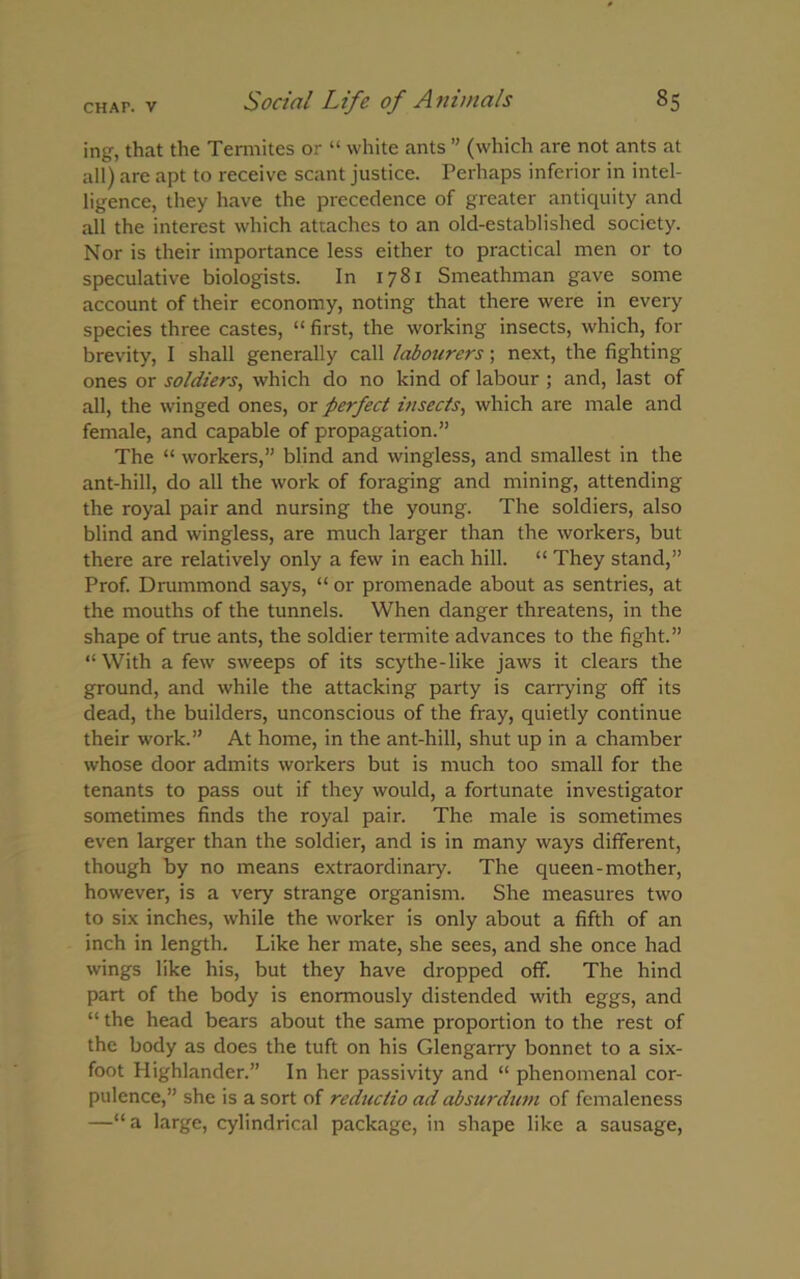 ing, that the Termites or “ white ants ” (which are not ants at all) are apt to receive scant justice. Perhaps inferior in intel- ligence, they have the precedence of greater antiquity and all the interest which attaches to an old-established society. Nor is their importance less either to practical men or to speculative biologists. In 1781 Smeathman gave some account of their economy, noting that there were in every species three castes, “ first, the working insects, which, for brevity, I shall generally call labourers; next, the fighting ones or soldiers, which do no kind of labour ; and, last of all, the winged ones, or perfect insects, which are male and female, and capable of propagation.” The “ workers,” blind and wingless, and smallest in the ant-hill, do all the work of foraging and mining, attending the royal pair and nursing the young. The soldiers, also blind and wingless, are much larger than the workers, but there are relatively only a few in each hill. “ They stand,” Prof. Drummond says, “ or promenade about as sentries, at the mouths of the tunnels. When danger threatens, in the shape of true ants, the soldier termite advances to the fight.” “With a few sweeps of its scythe-like jaws it clears the ground, and while the attacking party is carrying off its dead, the builders, unconscious of the fray, quietly continue their work.” At home, in the ant-hill, shut up in a chamber whose door admits workers but is much too small for the tenants to pass out if they would, a fortunate investigator sometimes finds the royal pair. The. male is sometimes even larger than the soldier, and is in many ways different, though by no means extraordinary. The queen-mother, however, is a very strange organism. She measures two to six inches, while the worker is only about a fifth of an inch in length. Like her mate, she sees, and she once had wings like his, but they have dropped off. The hind part of the body is enormously distended with eggs, and “ the head bears about the same proportion to the rest of the body as does the tuft on his Glengarry bonnet to a six- foot Highlander.” In her passivity and “ phenomenal cor- pulence,” she is a sort of reductio ad absurdum of femaleness —“a large, cylindrical package, in shape like a sausage,