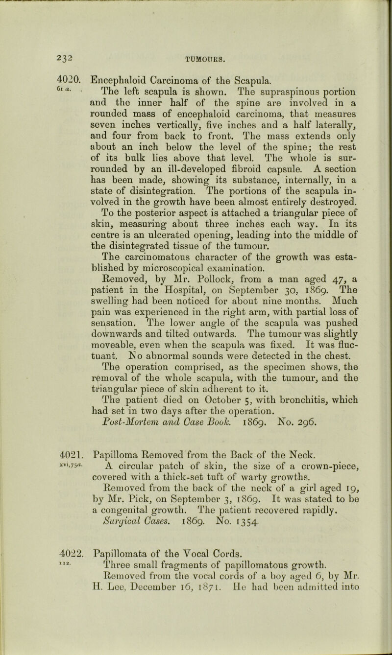 4020. 6i a. 4021. xvi,75rt. 4022. Encephaloid Carcinoma of the Scapula. The left scapula is shown. The supraspinous portion and the inner half of the spine are involved in a rounded mass of encephaloid carcinoma, that measures seven inches vertically, five inches and a half laterally, and four from back to front. The mass extends only about an inch below the level of the spine; the rest of its bulk lies above that level. The whole is sur- rounded by an ill-developed fibroid capsule. A section has been made, showing its substance, internally, in a state of disintegration. The portions of the scapula in- volved in the growth have been almost entirely destroyed. To the posterior aspect is attached a triangular piece of skin, measuring about three inches each way. In its centre is an ulcerated opening, leading into the middle of the disintegrated tissue of the tumour. The carcinomatous character of the growth was esta- blished by microscopical examination. Removed, by Mr. Pollock, from a man aged 47, a patient in the Hospital, on September 30, 1869. The swelling had been noticed for about nine months. Much pain was experienced in the right arm, with partial loss of sensation. The lower angle of the scapula was pushed downwards and tilted outwards. The tumour was slightly moveable, even when the scapula was fixed. It was fluc- tuant. No abnormal sounds were detected in the chest. The operation comprised, as the specimen shows, the removal of the whole scapula, with the tumour, and the triangular piece of skin adherent to it. The patient died on October 5, with bronchitis, which had set in two days after the operation. Fost-Mortem and Case Booh 1869. No. 296. Papilloma Removed from the Back of the Neck. A circular patch of skin, the size of a crown-piece, covered with a thick-set tuft of warty growths. Removed from the back of the neck of a girl aged 19, by Mr. Pick, on September 3, 1869. It was stated to be a congenital growth. The patient recovered rapidly. Surgical Cases. 1869. No. 1354. Papillomata of the Vocal Cords. Three small fragments of papillomatous growth. Removed from the vocal cords of a boy aged 6, by Mr. II. Lee, December 16, 1871. lie had been admitted into