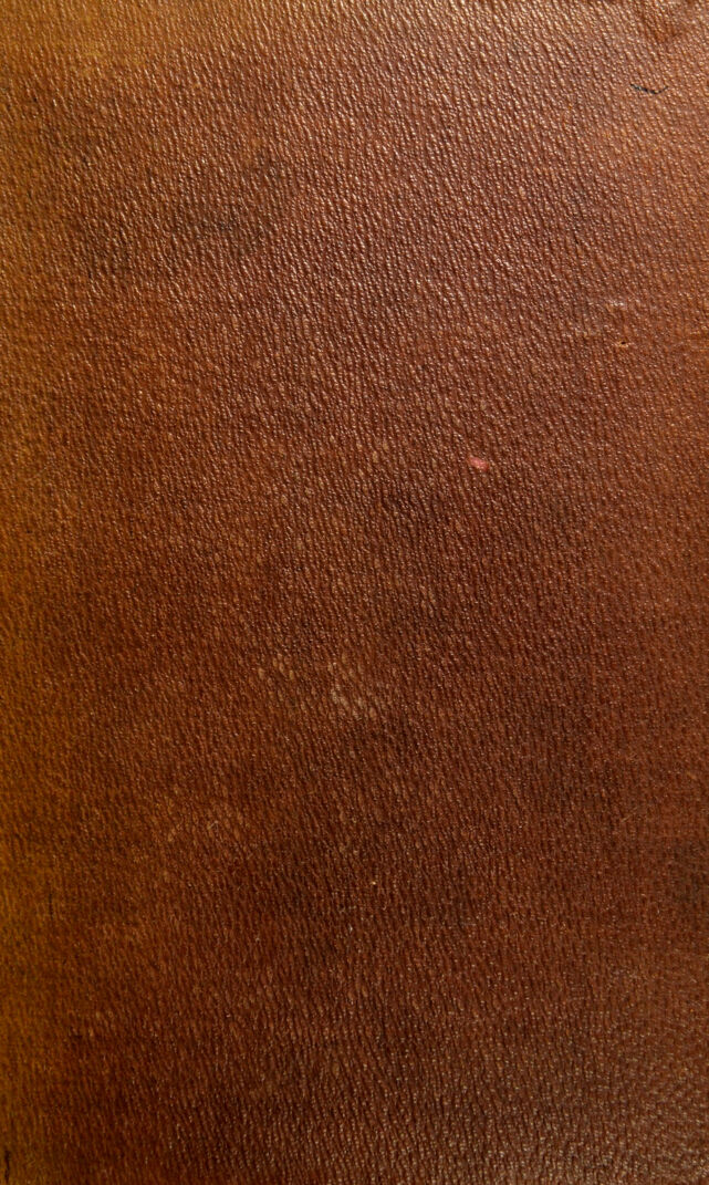 No text description is available for this image