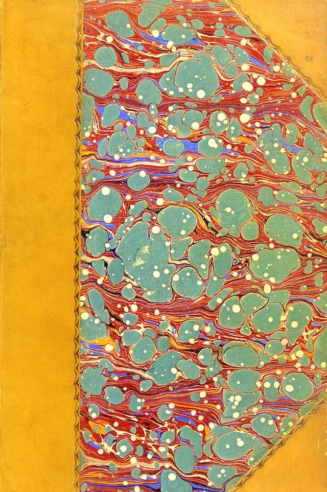 No text description is available for this image