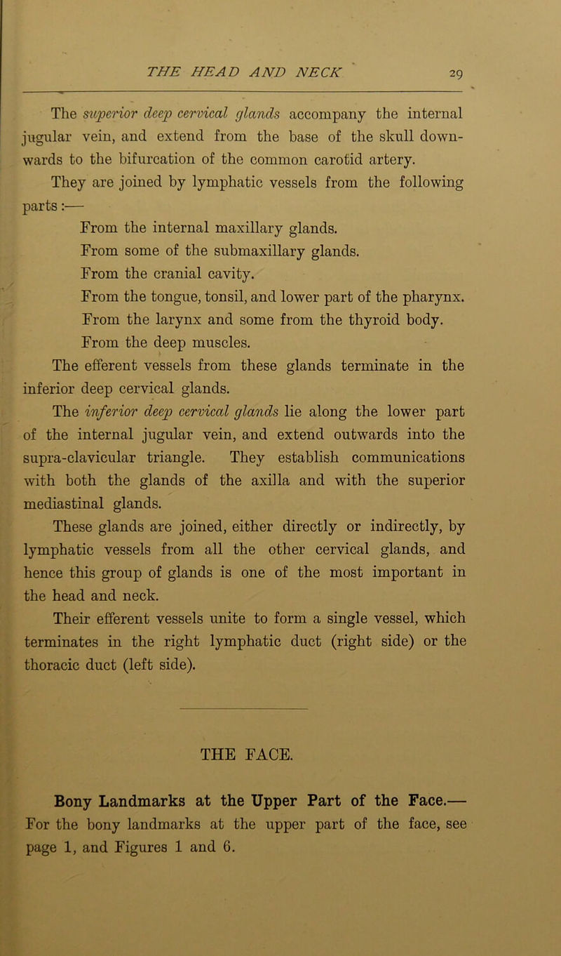 The superior deep cervical glands accompany the internal jugular vein, and extend from the base of the skull down- wards to the bifurcation of the common carotid artery. They are joined by lymphatic vessels from the following parts:— From the internal maxillary glands. From some of the submaxillary glands. From the cranial cavity. From the tongue, tonsil, and lower part of the pharynx. From the larynx and some from the thyroid body. From the deep muscles. The efferent vessels from these glands terminate in the inferior deep cervical glands. The inferior deep cervical glands lie along the lower part of the internal jugular vein, and extend outwards into the supra-clavicular triangle. They establish communications with both the glands of the axilla and with the superior mediastinal glands. These glands are joined, either directly or indirectly, by lymphatic vessels from all the other cervical glands, and hence this group of glands is one of the most important in the head and neck. Their efferent vessels unite to form a single vessel, which terminates in the right lymphatic duct (right side) or the thoracic duct (left side). THE FACE. Bony Landmarks at the Upper Part of the Face.— For the bony landmarks at the upper part of the face, see page 1, and Figures 1 and 6.
