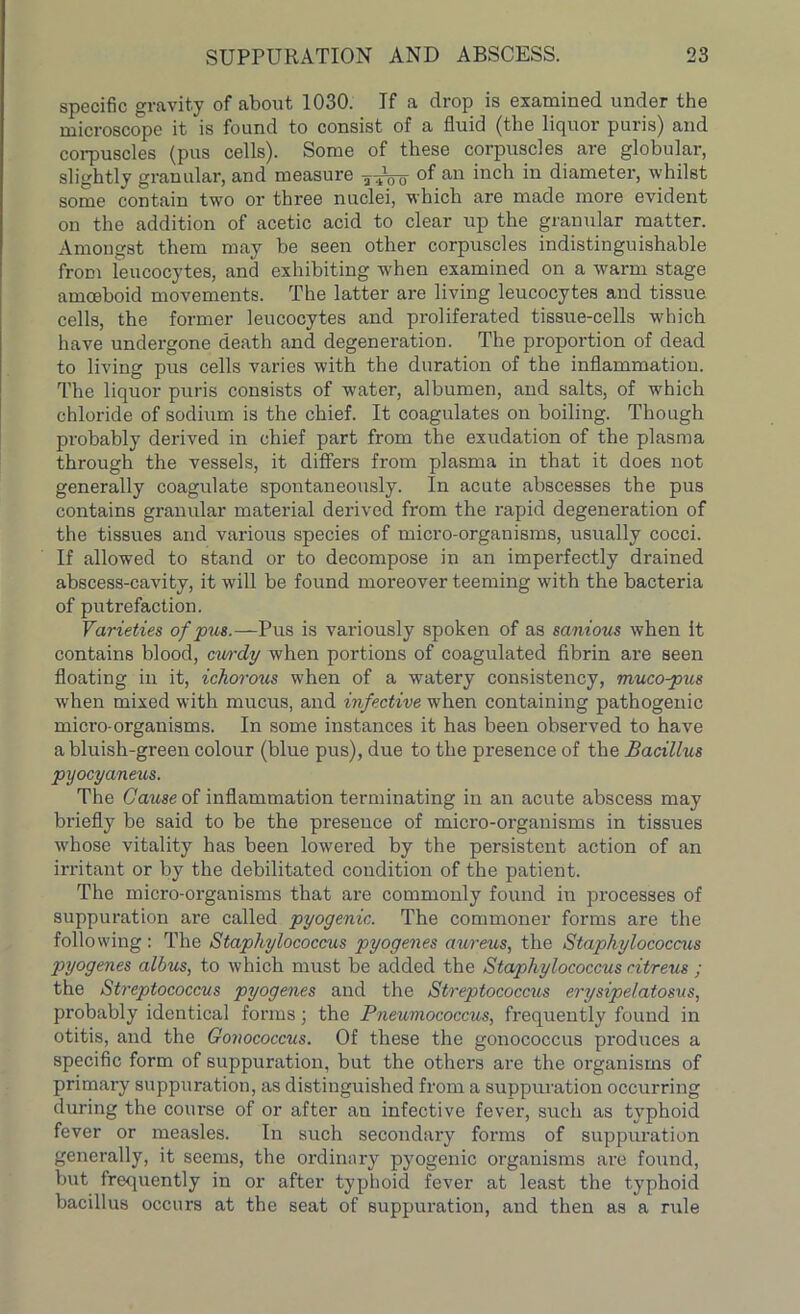 specific gravity of about 1030. If a drop is examined under the microscope it is found to consist of a fluid (the liquor puris) and corpuscles (pus cells). Some of these corpuscles are globular, slightly granular, and measure of an inch in diameter, whilst some contain two or three nuclei, which are made more evident on the addition of acetic acid to clear up the granular matter. Amongst them may be seen other corpuscles indistinguishable from leucocytes, and exhibiting when examined on a warm stage amoeboid movements. The latter are living leucocytes and tissue cells, the former leucocytes and proliferated tissue-cells which have undergone death and degeneration. The proportion of dead to living pus cells varies with the duration of the inflammation. The liquor puris consists of water, albumen, and salts, of which chloride of sodium is the chief. It coagulates on boiling. Though probably derived in chief part from the exudation of the plasma through the vessels, it differs from plasma in that it does not generally coagulate spontaneously. In acute abscesses the pus contains granular material derived from the rapid degeneration of the tissues and various species of micro-organisms, usually cocci. If allowed to stand or to decompose in an imperfectly drained abscess-cavity, it will be found moreover teeming with the bacteria of putrefaction. Varieties of pus.—Pus is variously spoken of as sanious when it contains blood, curdy when portions of coagulated fibrin are seen floating in it, ichorous when of a watery consistency, muco-pus when mixed with mucus, and infective when containing pathogenic micro-organisms. In some instances it has been observed to have a bluish-green colour (blue pus), due to the presence of the Bacillus pyocyaneus. The Cause of inflammation terminating in an acute abscess may briefly be said to be the presence of micro-organisms in tissues whose vitality has been lowered by the persistent action of an irritant or by the debilitated condition of the patient. The micro-organisms that are commonly found in processes of suppuration are called pyogenic. The commoner forms are the following : The Staphylococcus pyogenes aureus, the Staphylococcus pyogenes albus, to which must be added the Staphylococcus citreus ; the Streptococcus pyogenes and the Streptococcus erysipelatosus, probably identical forms 3 the Pneumococcus, frequently found in otitis, and the Gonococcus. Of these the gonococcus produces a specific form of suppuration, but the others are the organisms of primary suppuration, as distinguished from a suppuration occurring during the course of or after an infective fever, such as typhoid fever or measles. In such secondary forms of suppuration generally, it seems, the ordinary pyogenic organisms are found, but frequently in or after typhoid fever at least the typhoid bacillus occurs at the seat of suppuration, and then as a rule