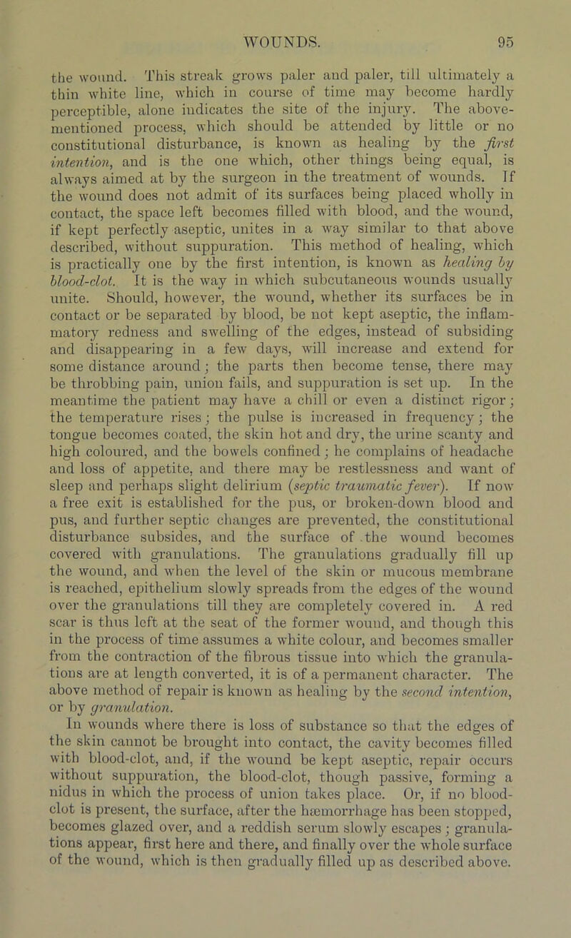 the wound. This streak grows paler and paler, till ultimately a thin white line, which in course of time may become hardly perceptible, alone indicates the site of the injury. The above- mentioned process, which should be attended by little or no constitutional disturbance, is known as healing by the first intention, and is the one which, other things being equal, is always aimed at by the surgeon in the treatment of wounds. If the wound does not admit of its surfaces being placed wholly in contact, the space left becomes filled with blood, and the wound, if kept perfectly aseptic, unites in a way similar to that above described, without suppuration. This method of healing, which is practically one by the first intention, is known as healing hy blood-clot. It is the way in which subcutaneous wounds usually unite. Should, however, the wound, whether its surfaces be in contact or be separated by blood, be not kept aseptic, the inflam- matory redness and swelling of the edges, instead of subsiding and disappearing in a few days, will increase and exteud for some distance around; the parts then become tense, there may be throbbing pain, union fails, and suppuration is set up. In the meantime the patient may have a chill or even a distinct rigor; the temperature rises; the pulse is increased in frequency; the tongue becomes coated, the skin hot and dry, the urine scanty and high coloured, and the bowels confined; he complains of headache and loss of appetite, and there may be restlessness and want of sleep and perhaps slight delirium (septic traumatic fever). If now a free exit is established for the pus, or broken-down blood and pus, and further septic changes are prevented, the constitutional disturbance subsides, and the surface of the wound becomes covered with granulations. The granulations gradually fill up the wound, and when the level of the skin or mucous membrane is reached, epithelium slowly spreads from the edges of the wound over the granulations till they are completely covered in. A red scar is thus left at the seat of the former wound, and though this in the process of time assumes a white colour, and becomes smaller from the contraction of the fibrous tissue into which the granula- tions are at length converted, it is of a permanent character. The above method of repair is known as healing by the second intention, or by granulation. In wounds where there is loss of substance so that the edges of the skin cannot be brought into contact, the cavity becomes filled with blood-clot, and, if the wound be kept aseptic, repair occurs without suppuration, the blood-clot, though passive, forming a nidus in which the process of union takes place. Or, if no blood- clot is present, the surface, after the Inemorrhage has been stopped, becomes glazed over, and a reddish serum slowly escapes ; granula- tions appear, first here and there, and finally over the whole surface of the wound, which is then gradually filled up as described above.